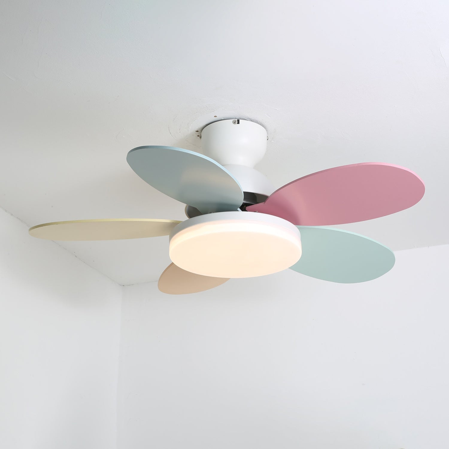 Qeslo Ceiling Fan