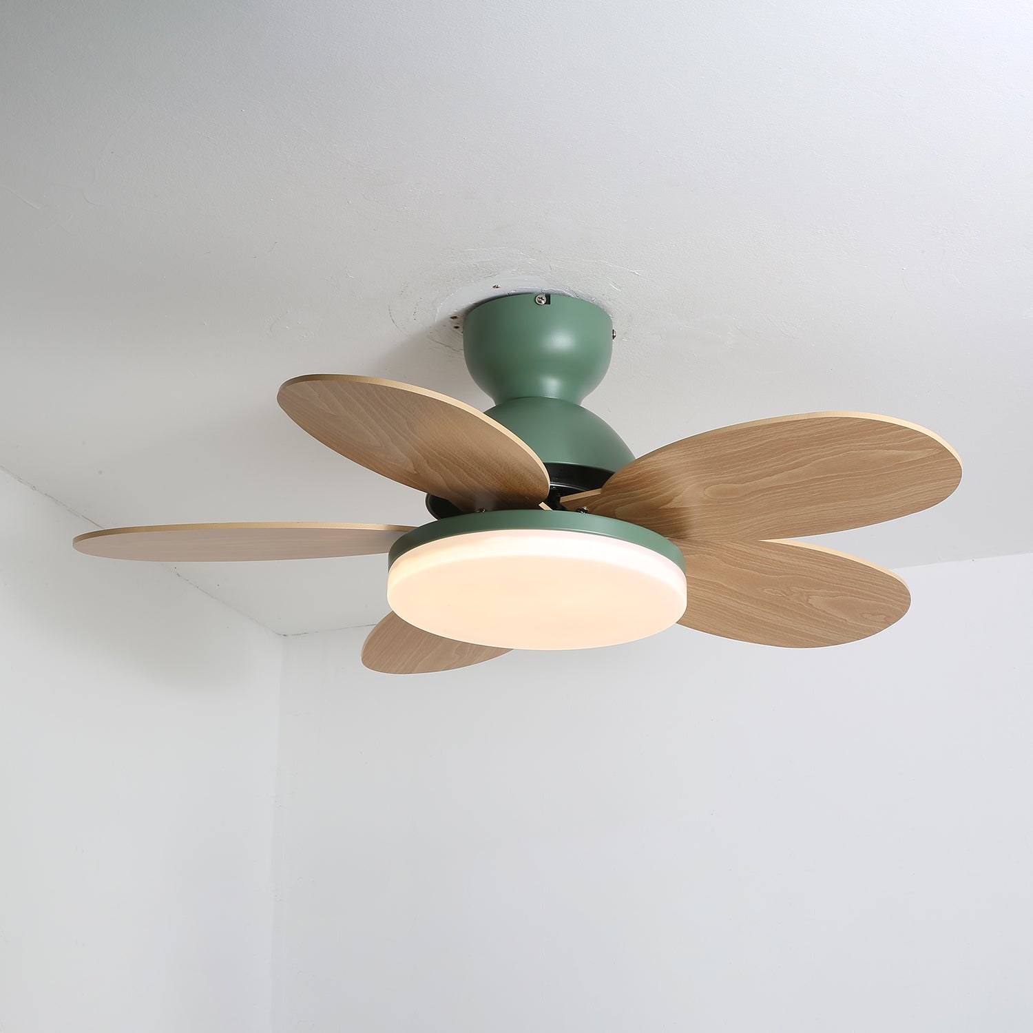 Qeslo Ceiling Fan