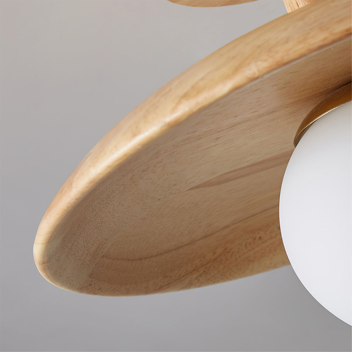 Alzori Round Ceiling Light
