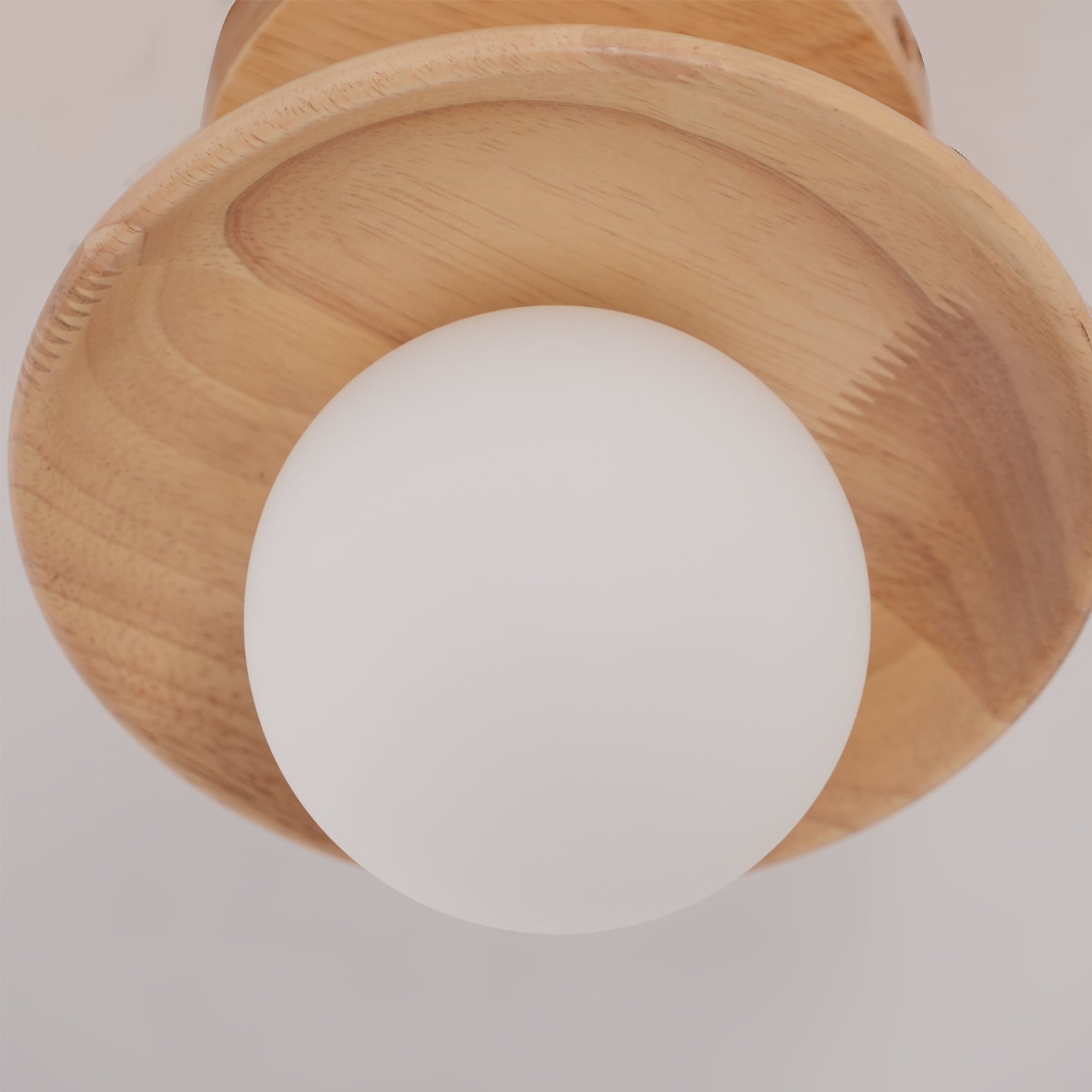Alzori Round Ceiling Light