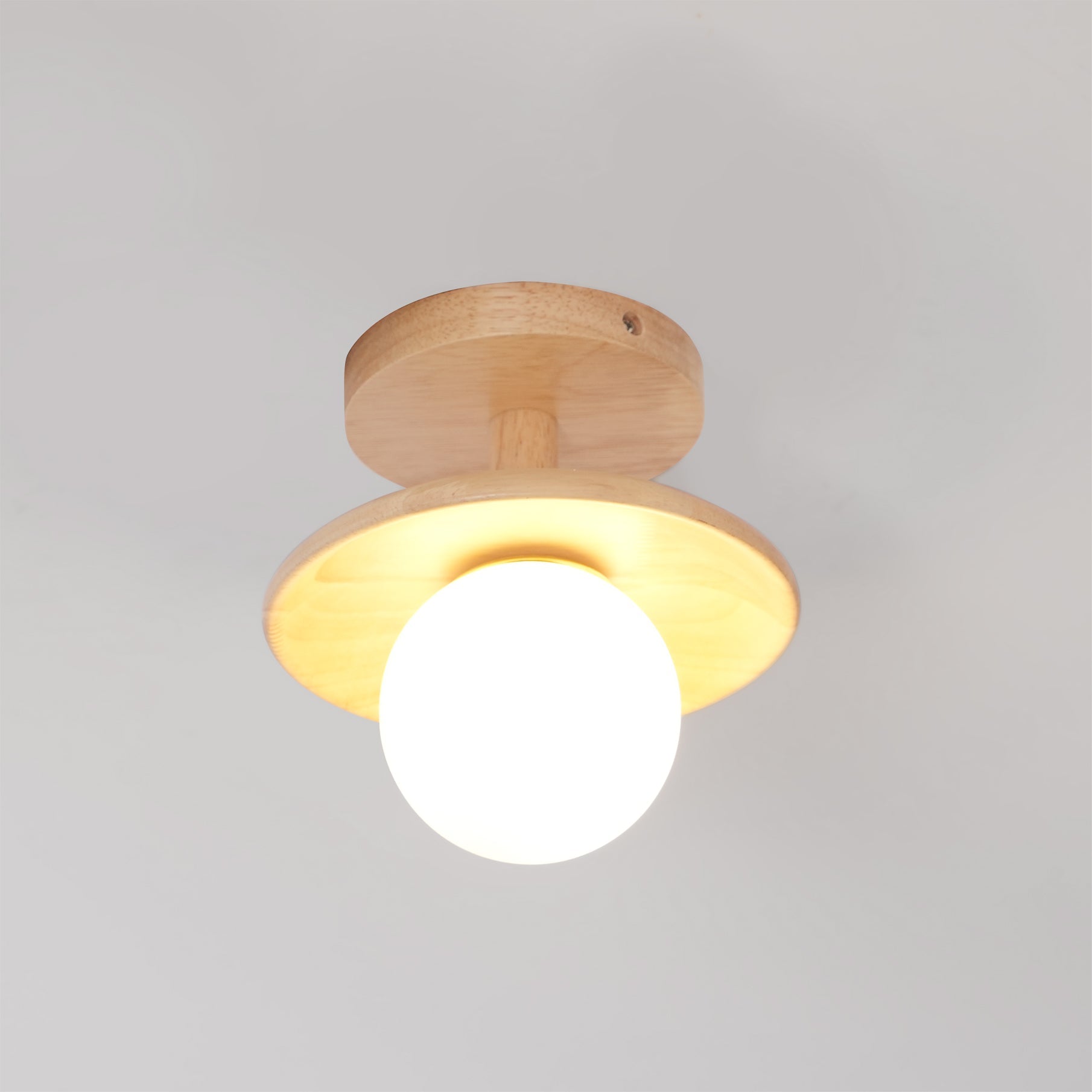 Alzori Round Ceiling Light