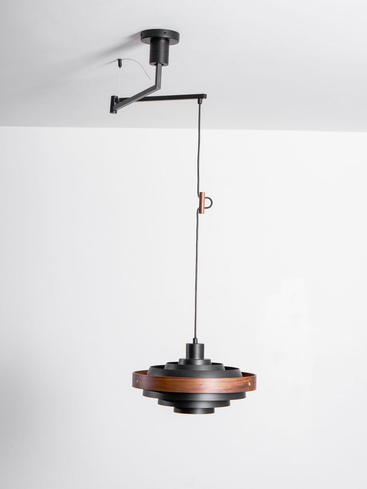 Afano Articulated Pendant Light