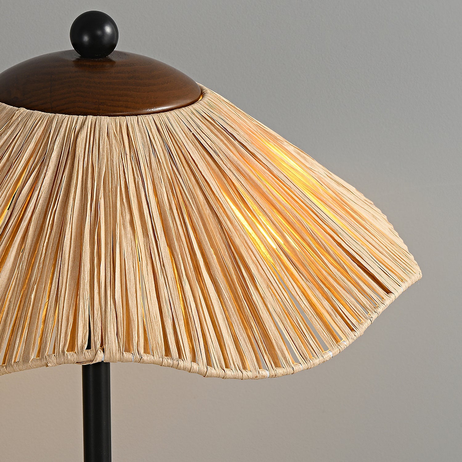 Anelivo Floor Lamp