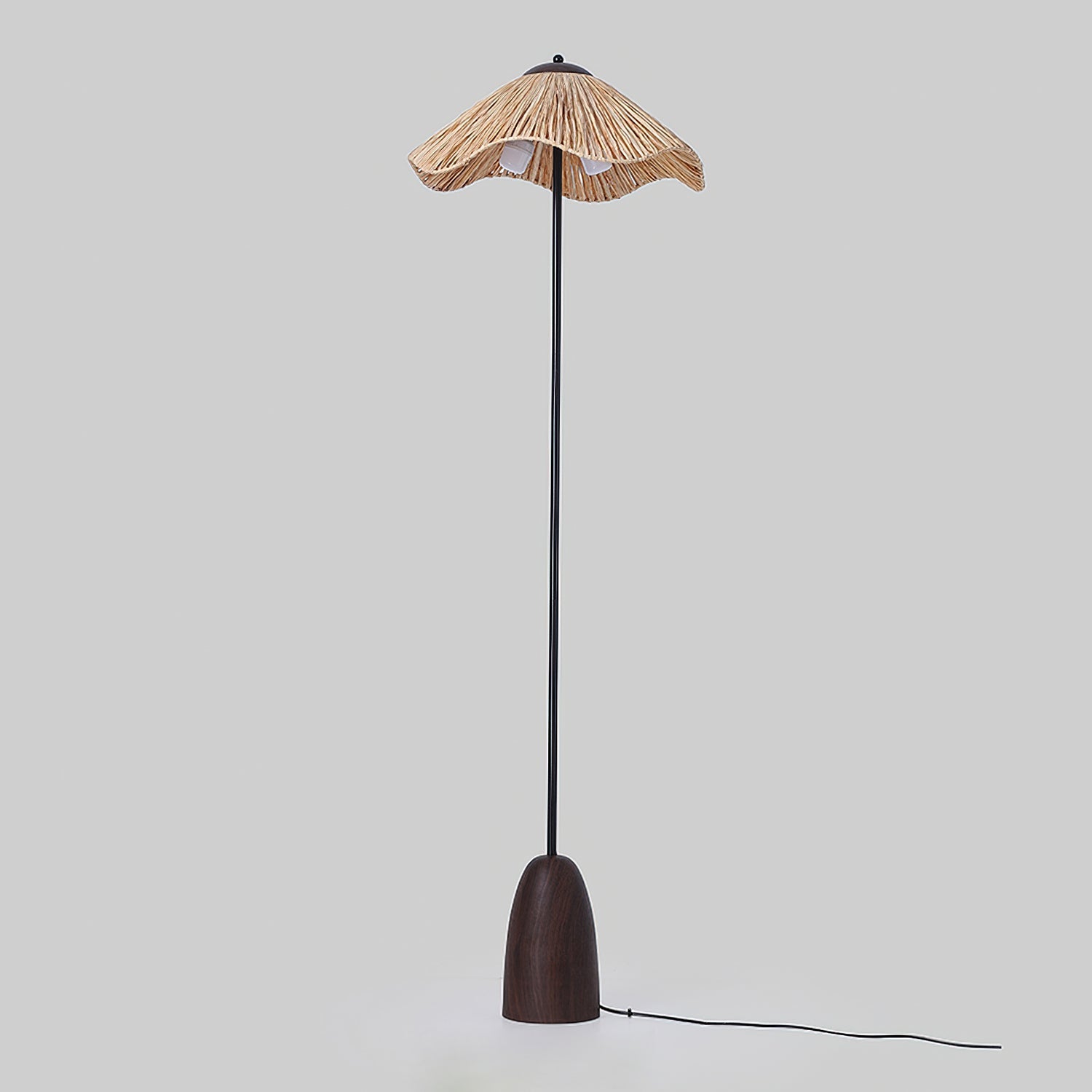 Anelivo Floor Lamp
