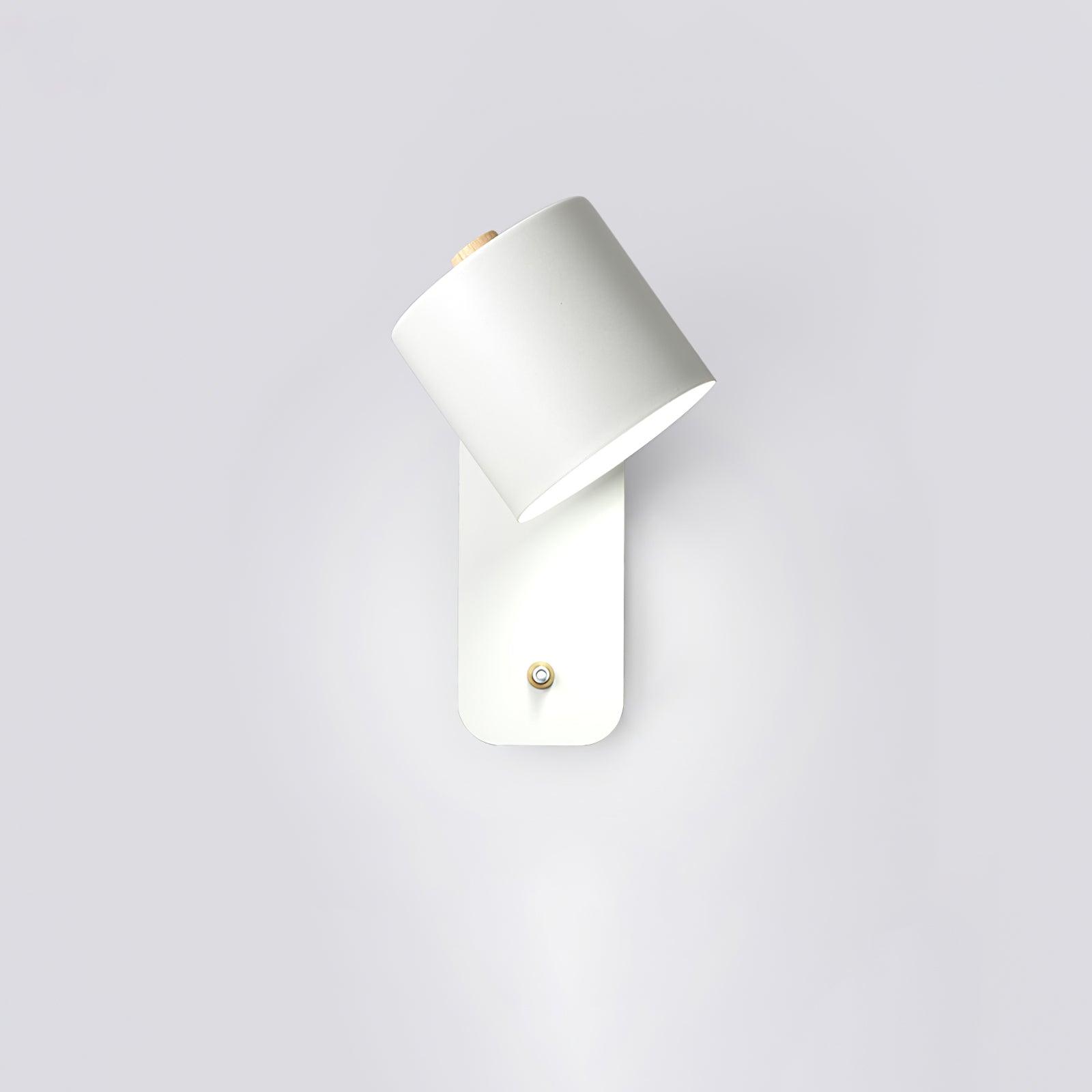 Manzo Wall Light