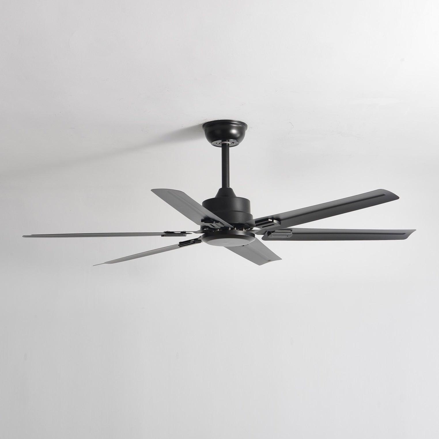 Borelsa Ceiling Fan