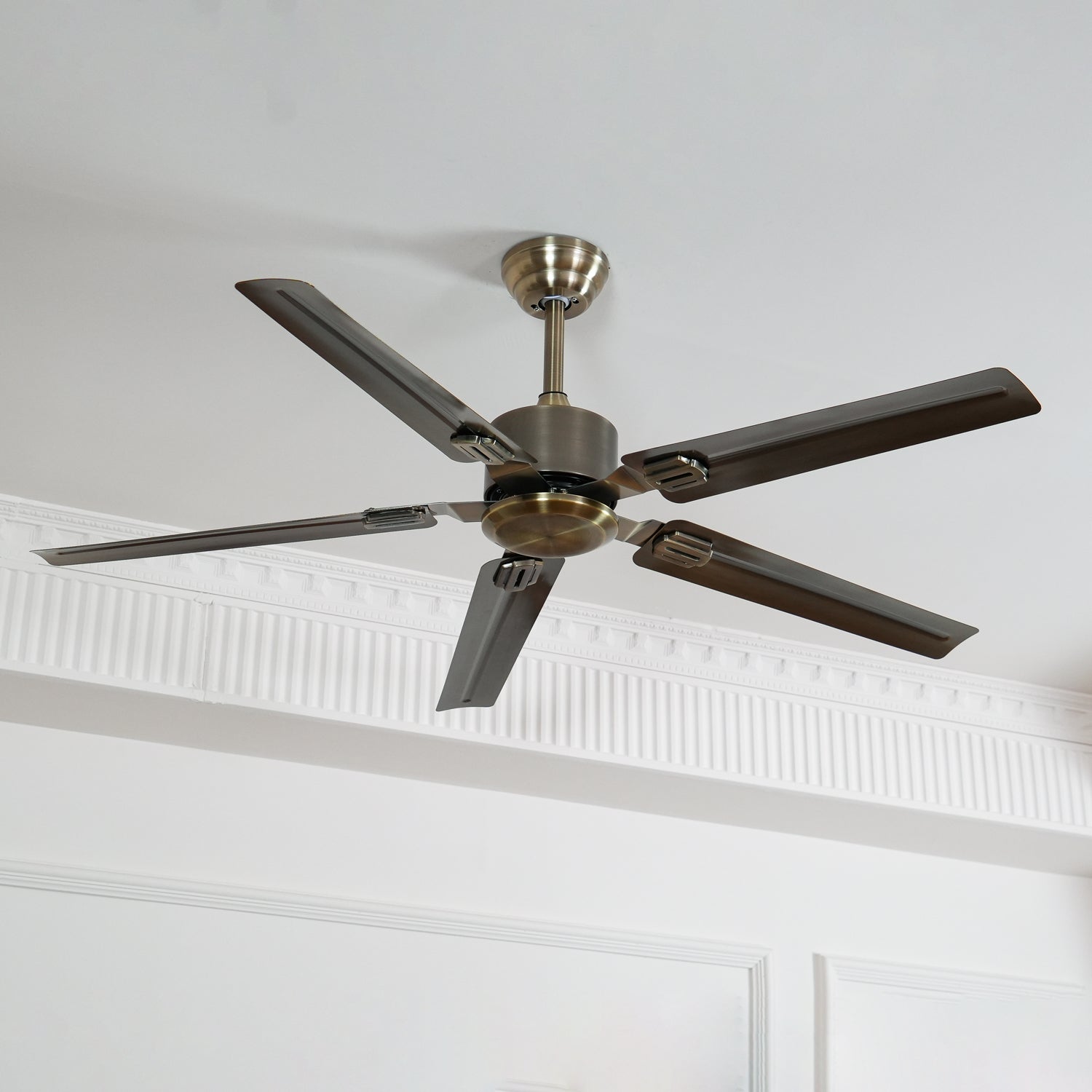 Borelsa Ceiling Fan