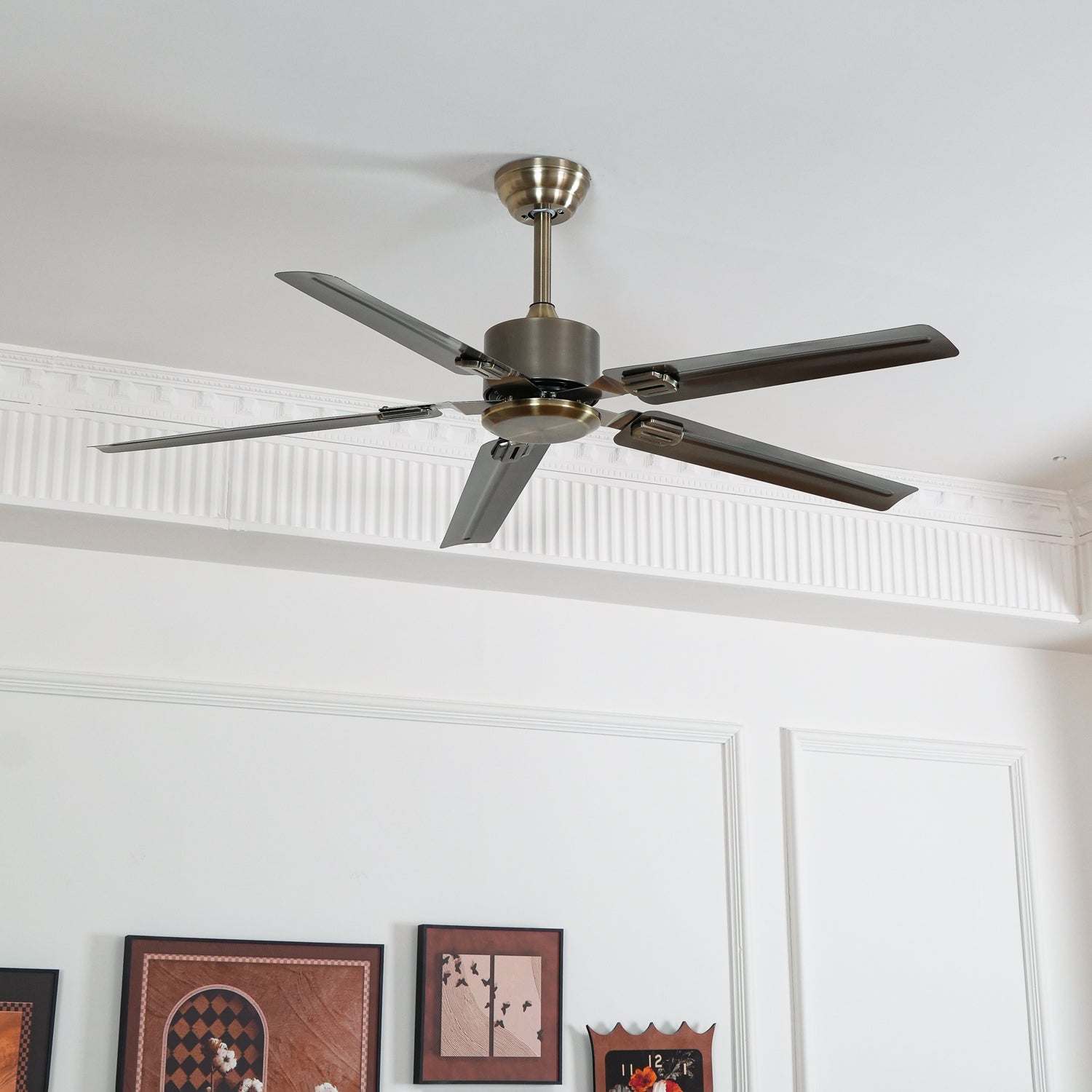 Borelsa Ceiling Fan