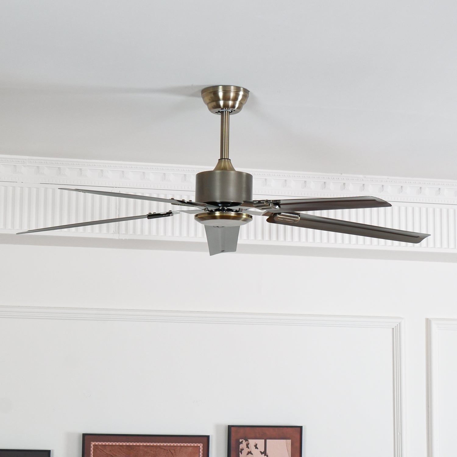 Borelsa Ceiling Fan