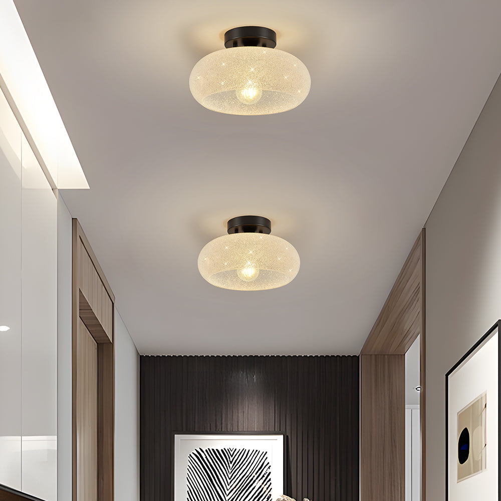 Zernilu Ceiling Light