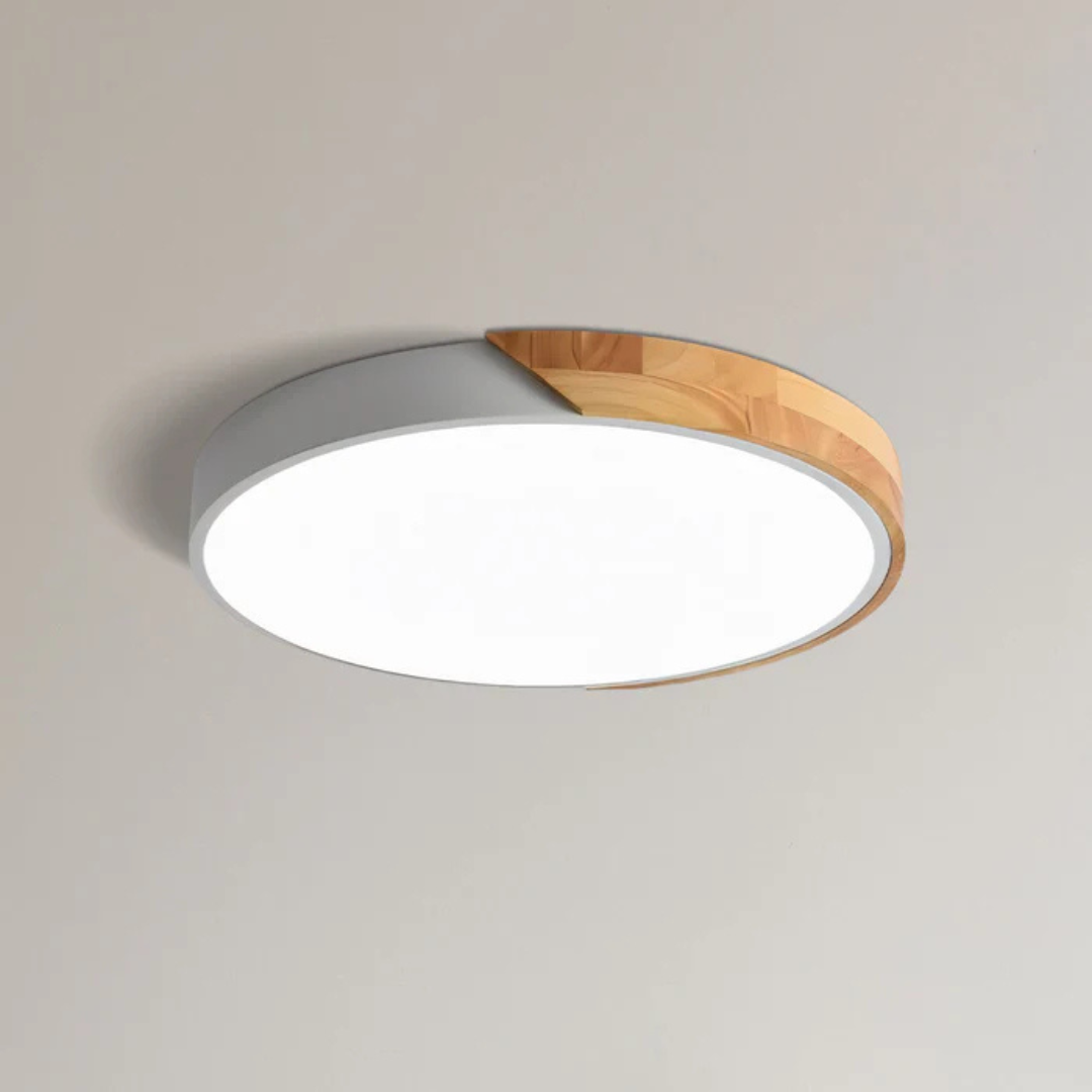 Ulazeron Modern Ceiling Light