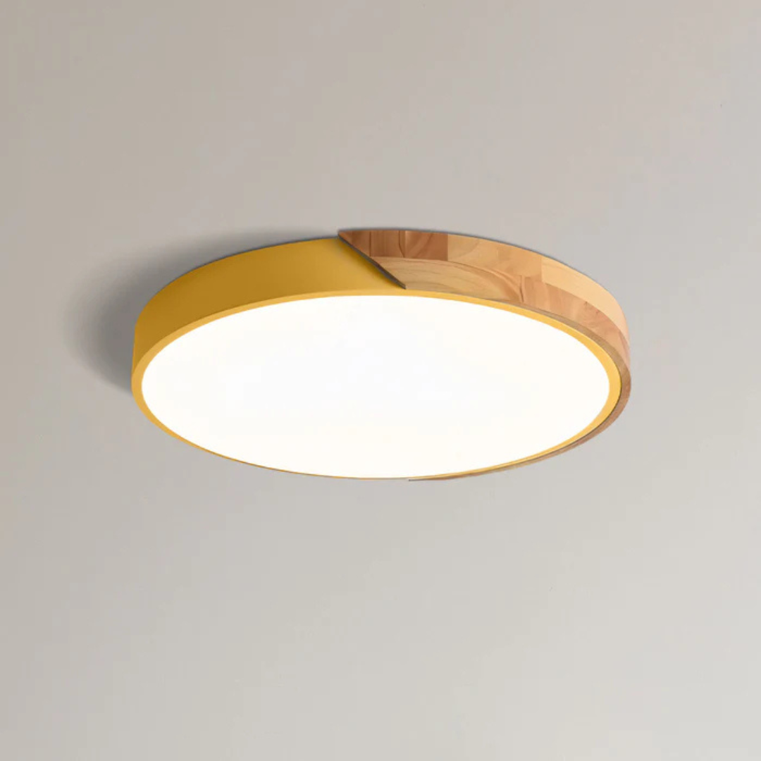 Ulazeron Modern Ceiling Light