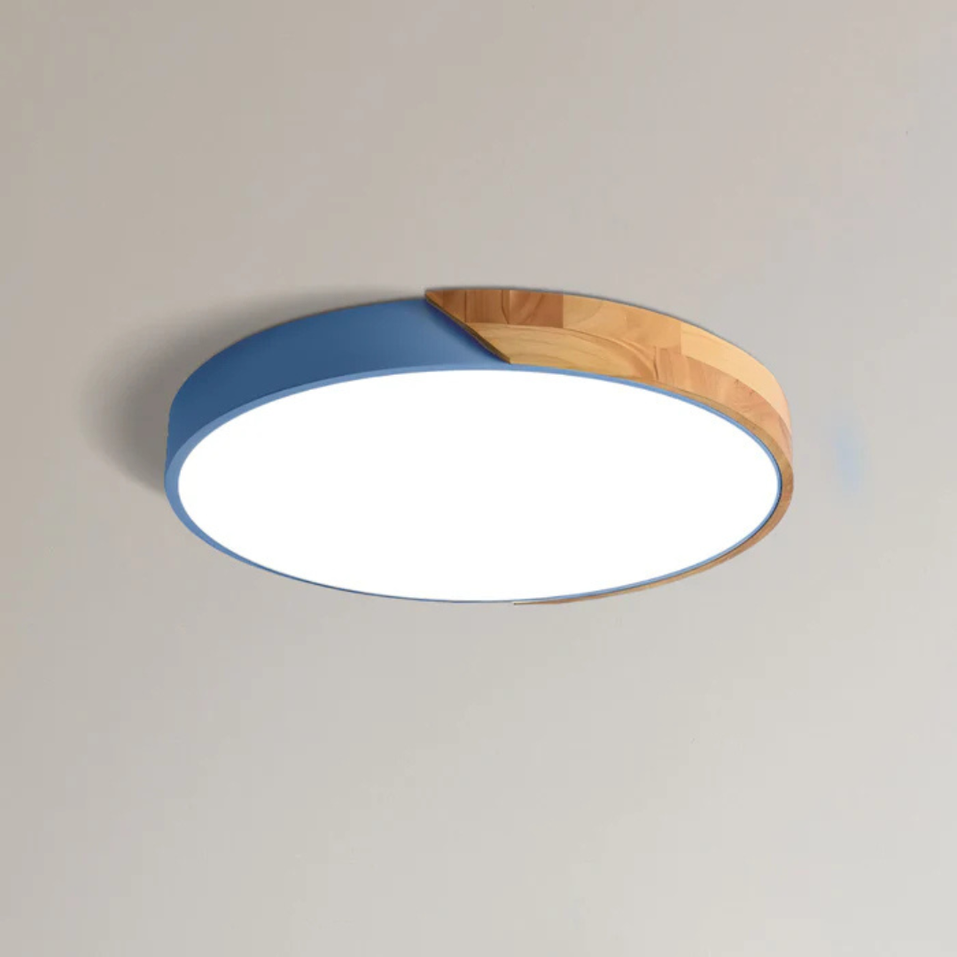 Ulazeron Modern Ceiling Light