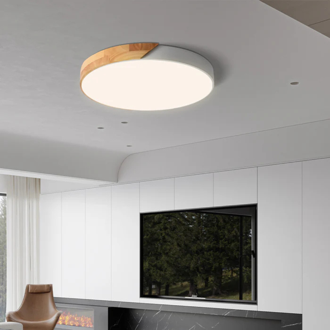 Ulazeron Modern Ceiling Light