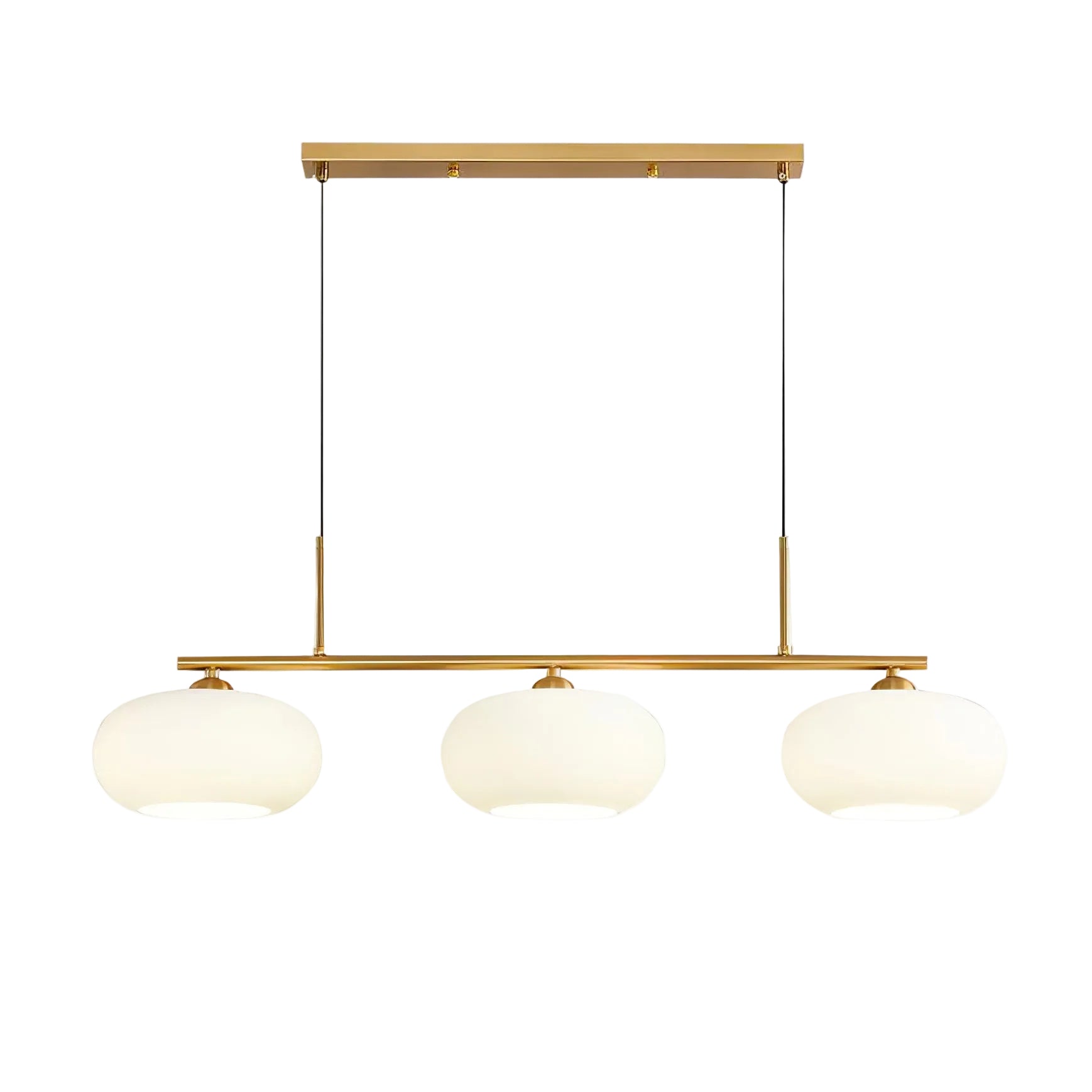 Lerenme Globe Pendant Light