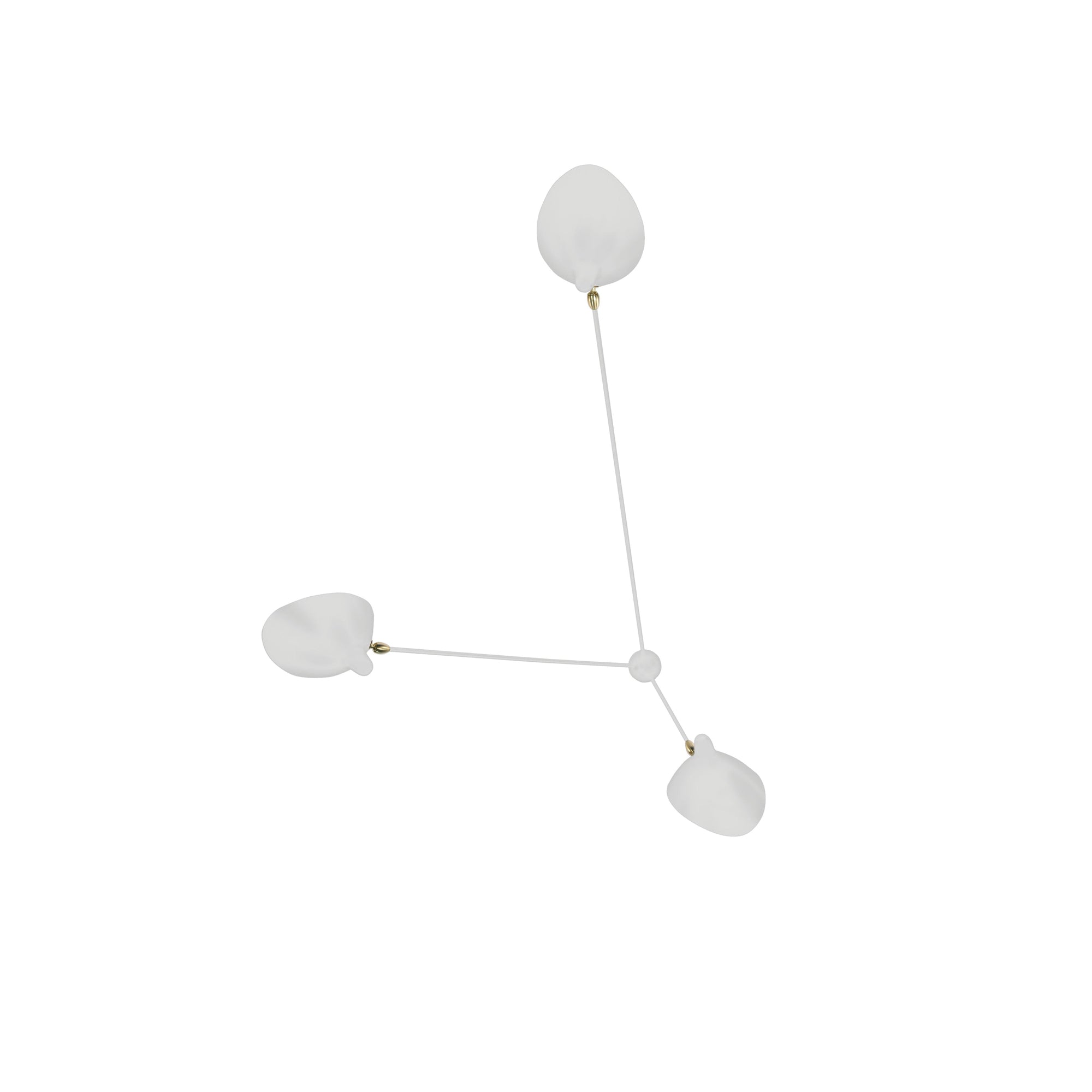 Povon Ceiling Light