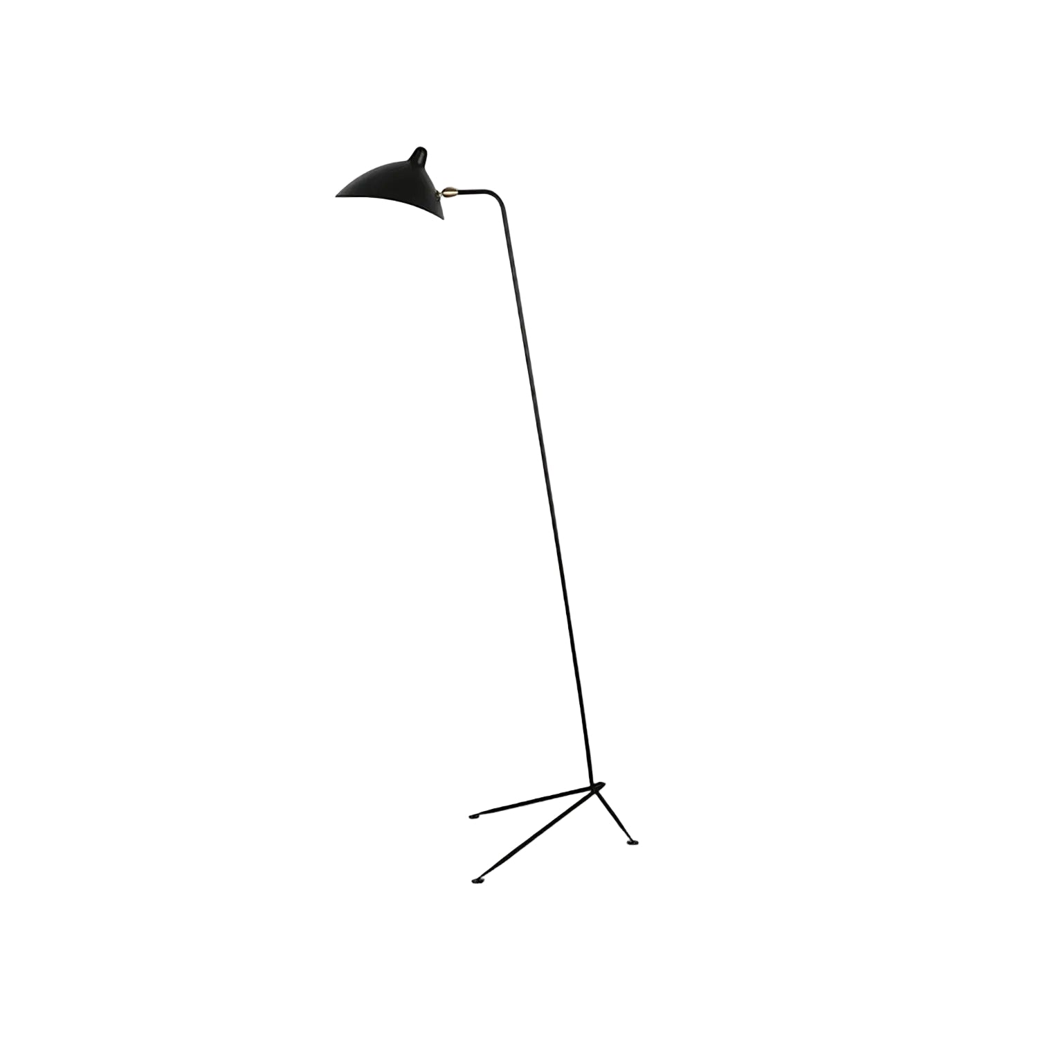 Baely Industrial Floor Lamp