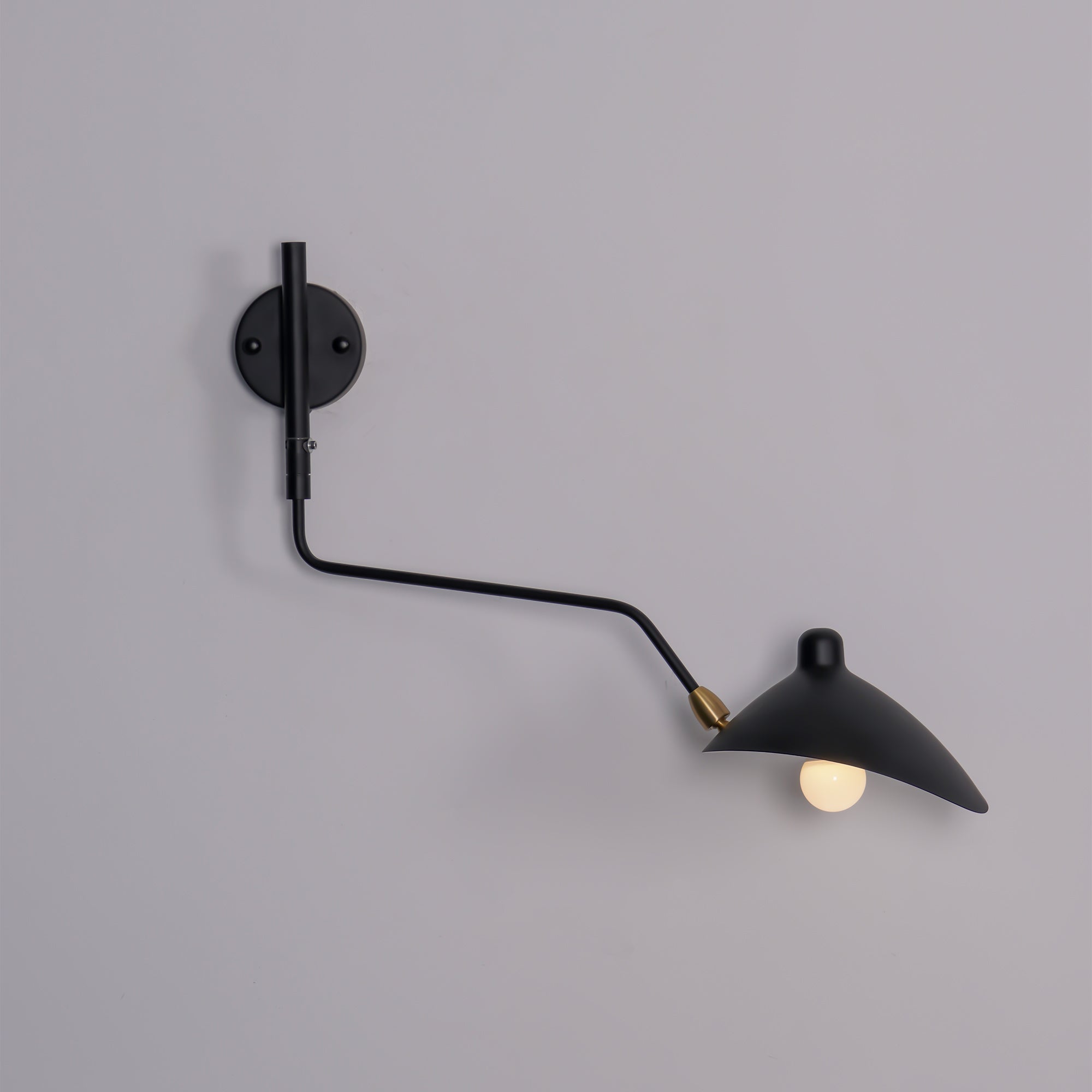 Adelira Industrial Wall Light