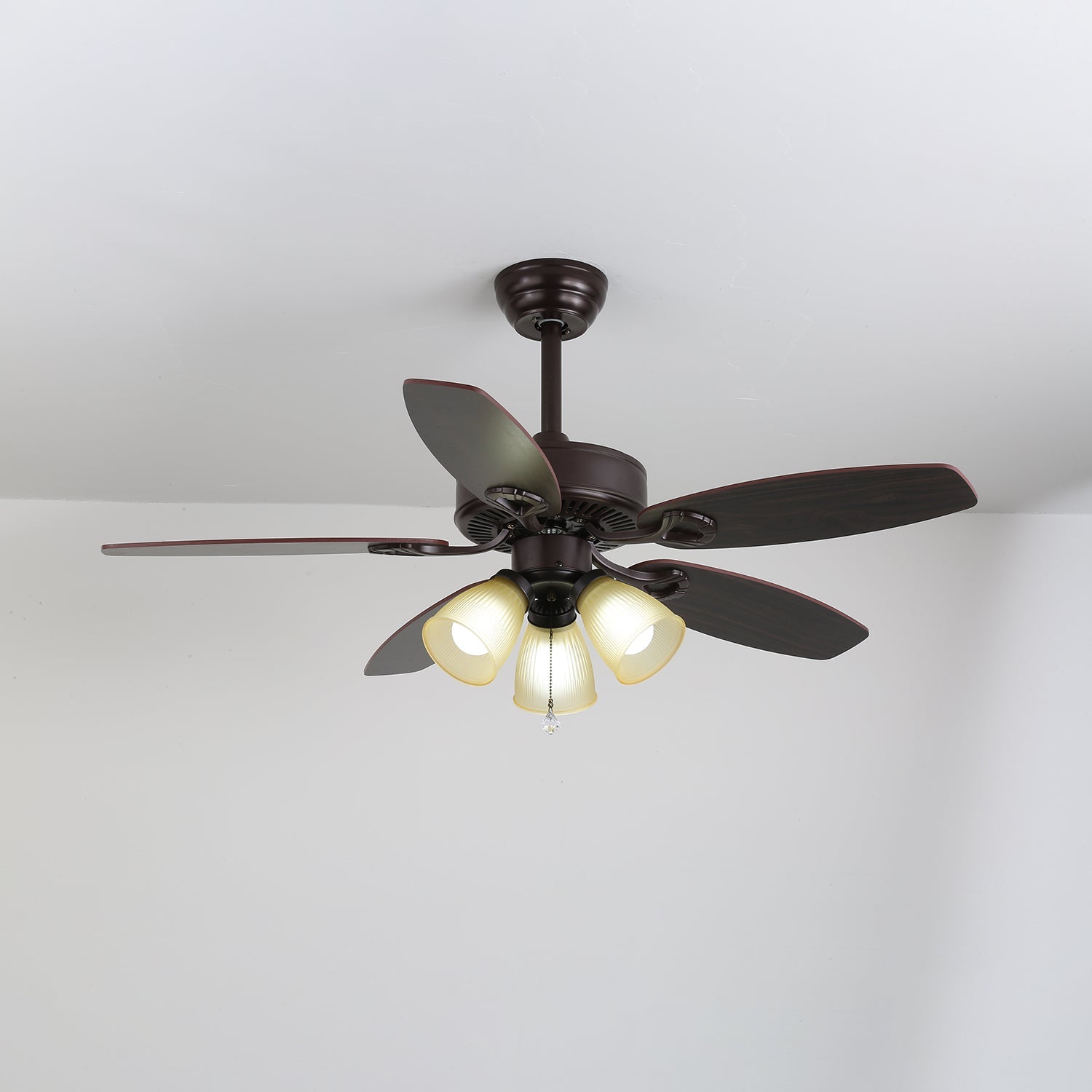 Bozelian Ceiling Fan Light