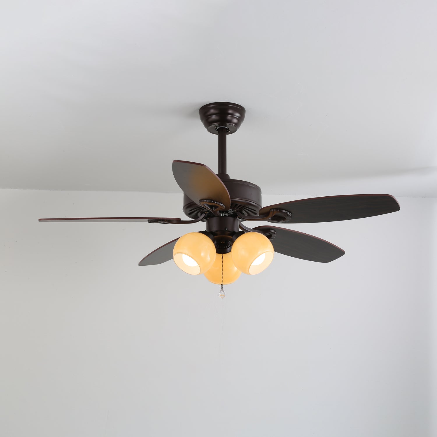 Bozelian Ceiling Fan Light