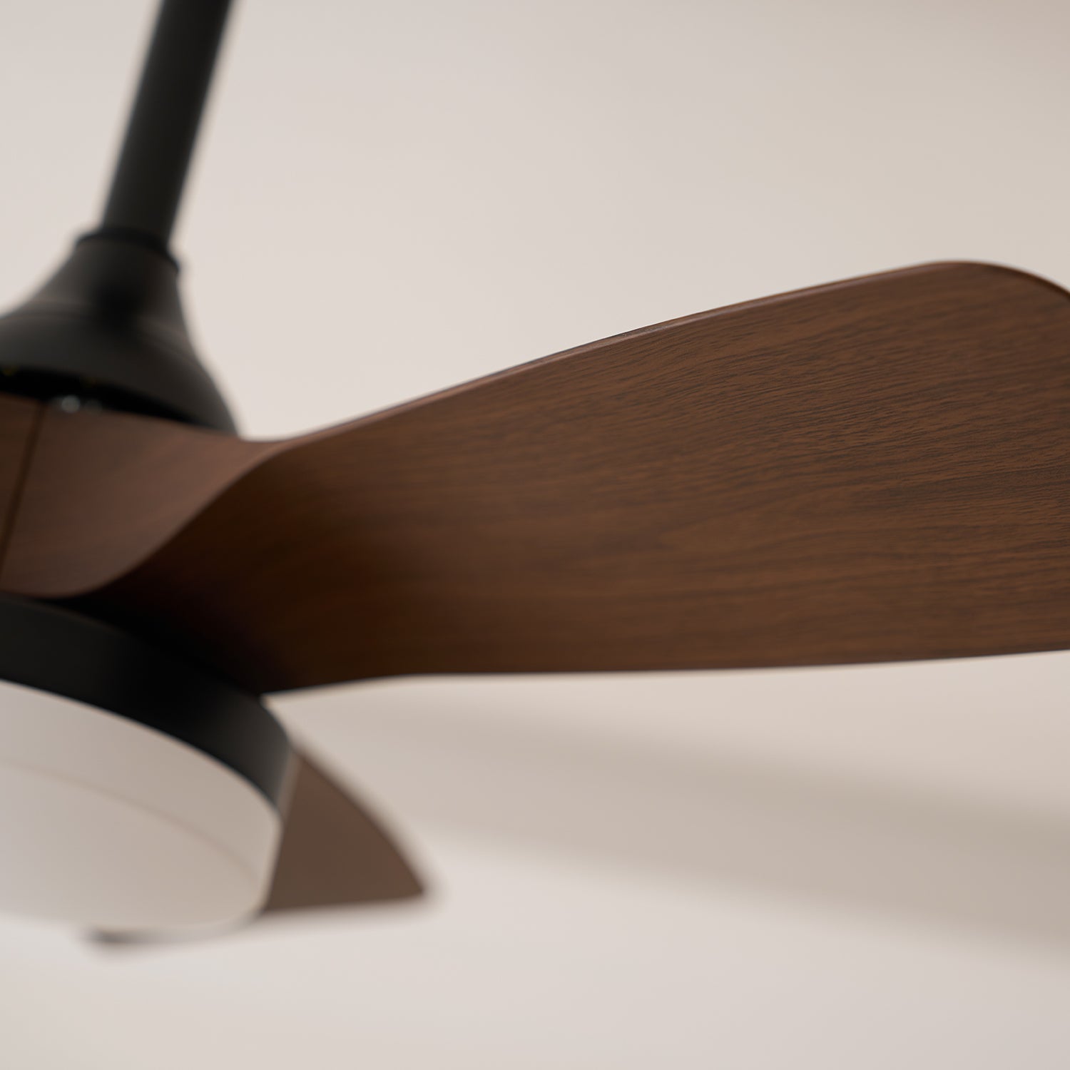 Avolavo Modern Ceiling Fan Light