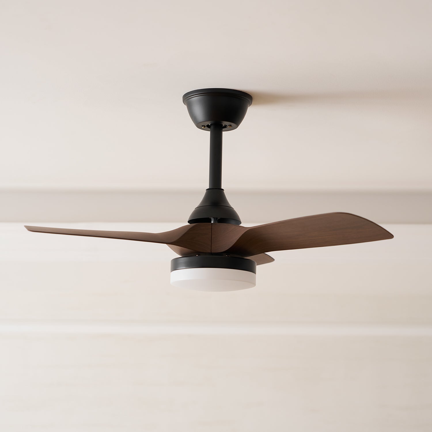 Avolavo Modern Ceiling Fan Light