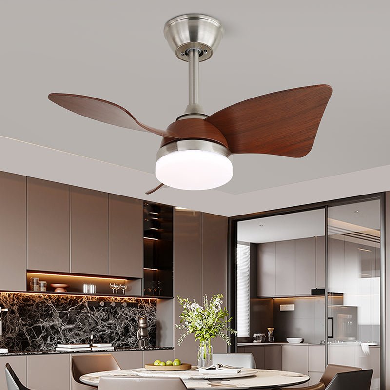 Avolavo Modern Ceiling Fan Light