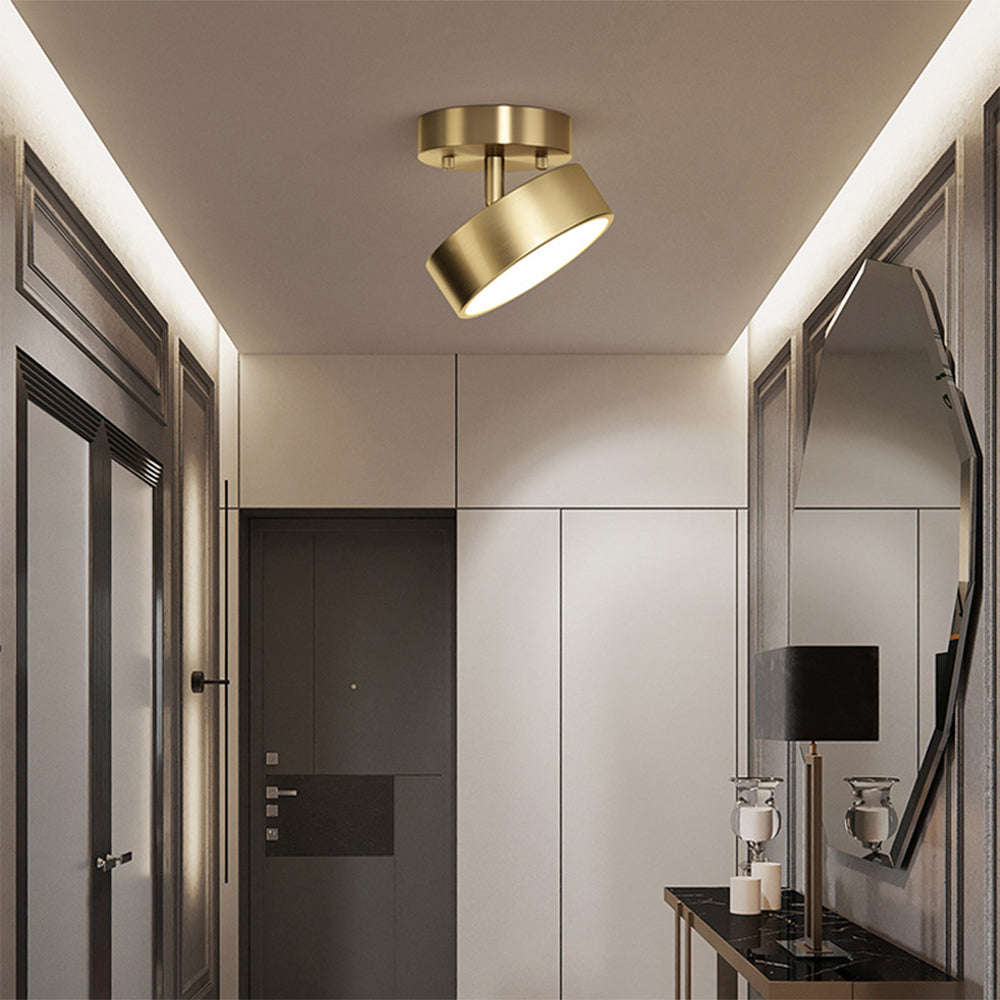 Nisao Ceiling Light