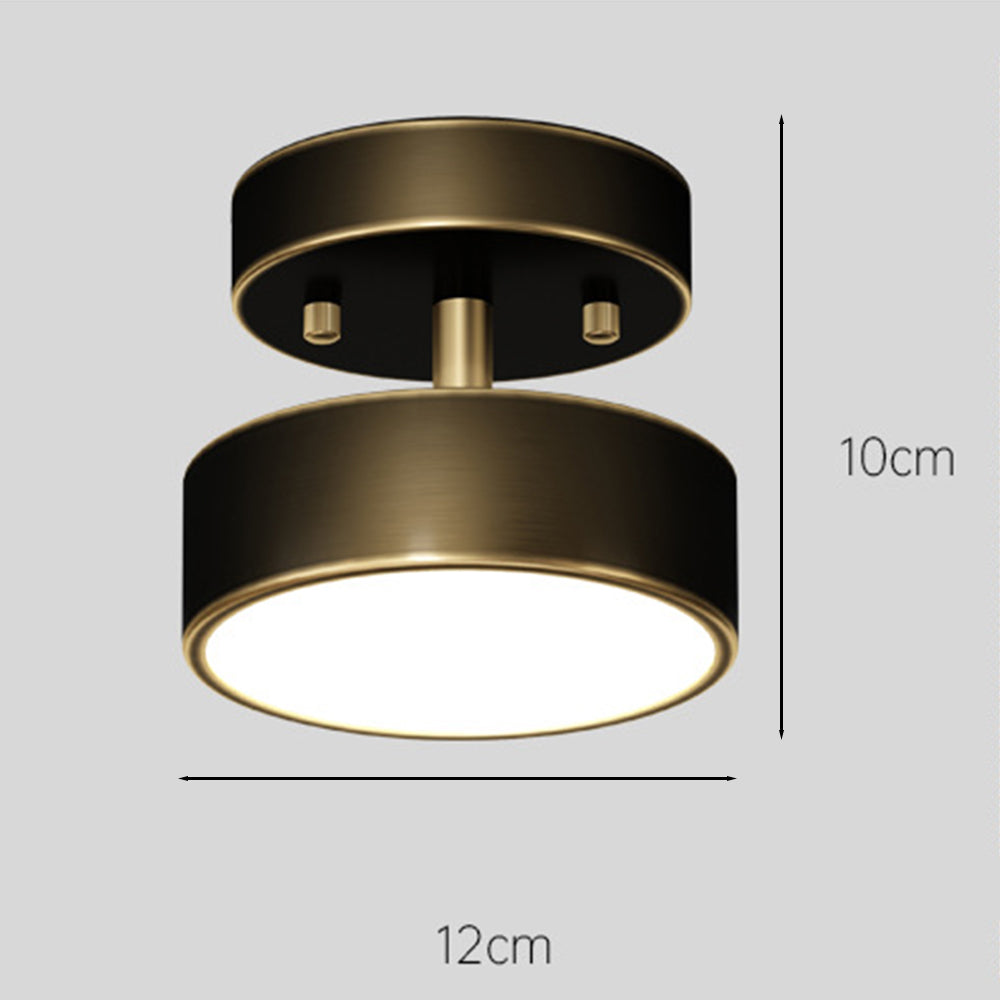 Nisao Ceiling Light
