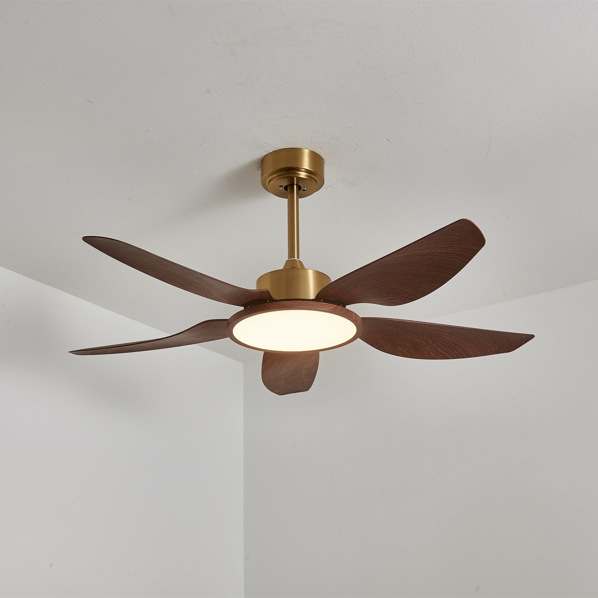 Amoro Ceiling Fan Light