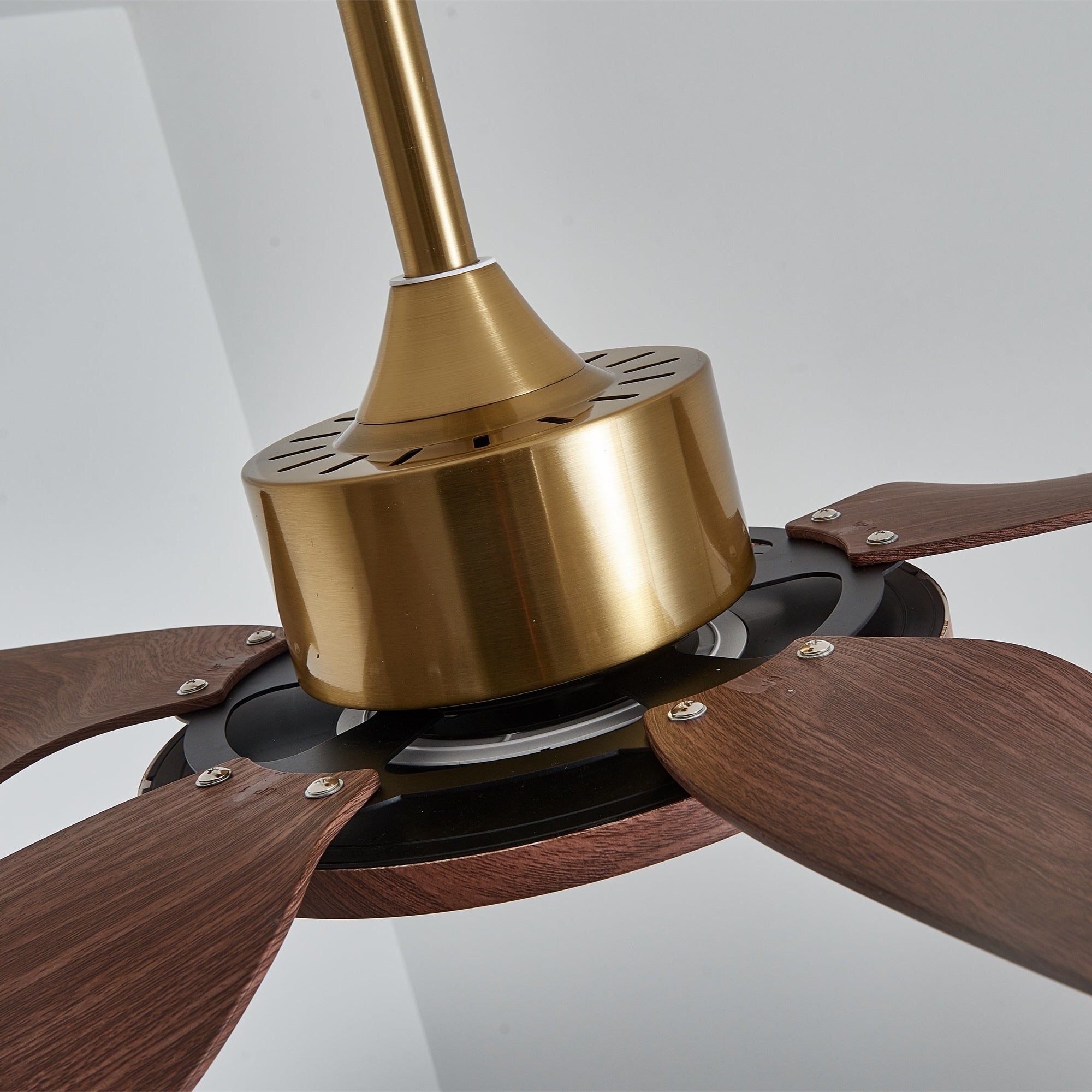 Amoro Ceiling Fan Light