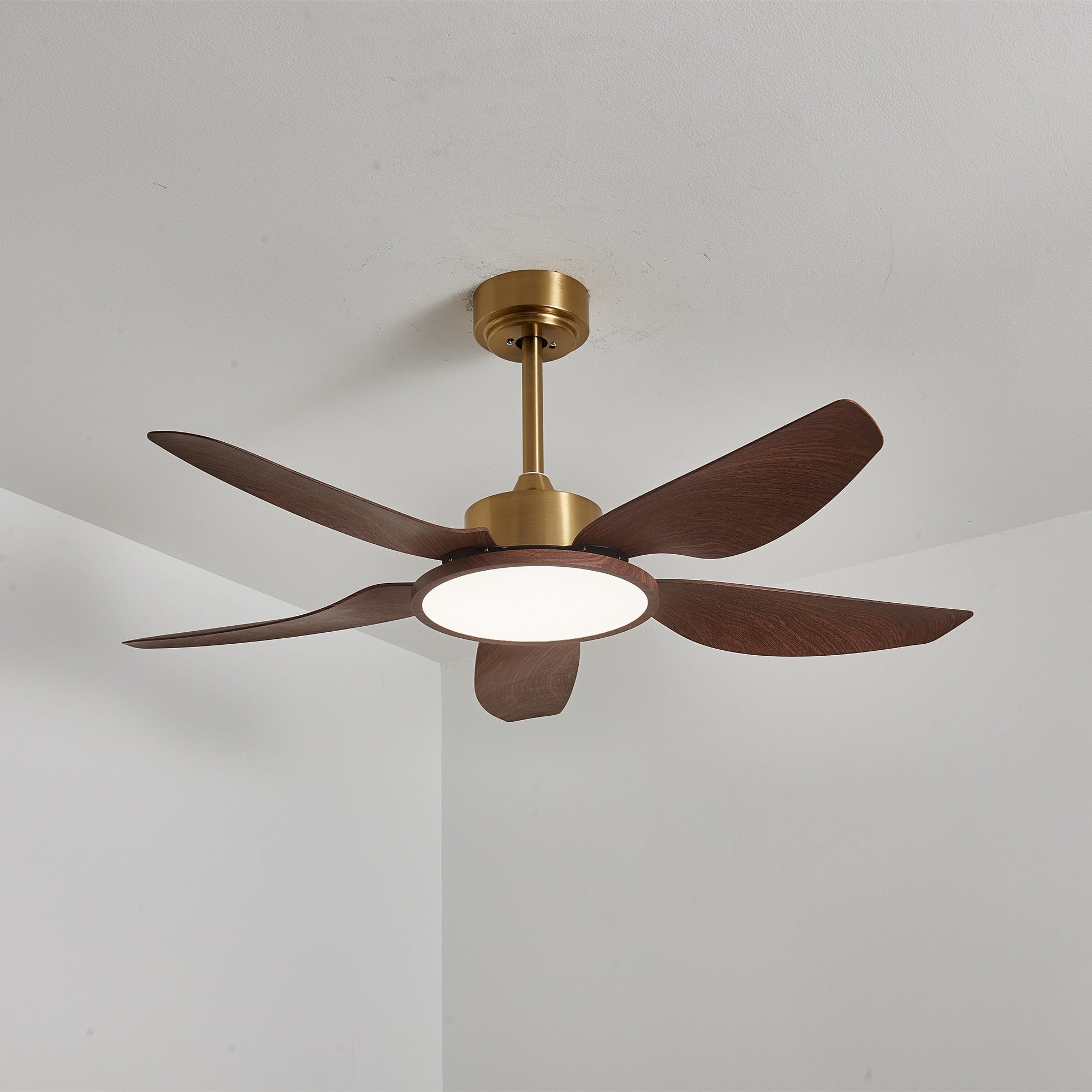 Amoro Ceiling Fan Light