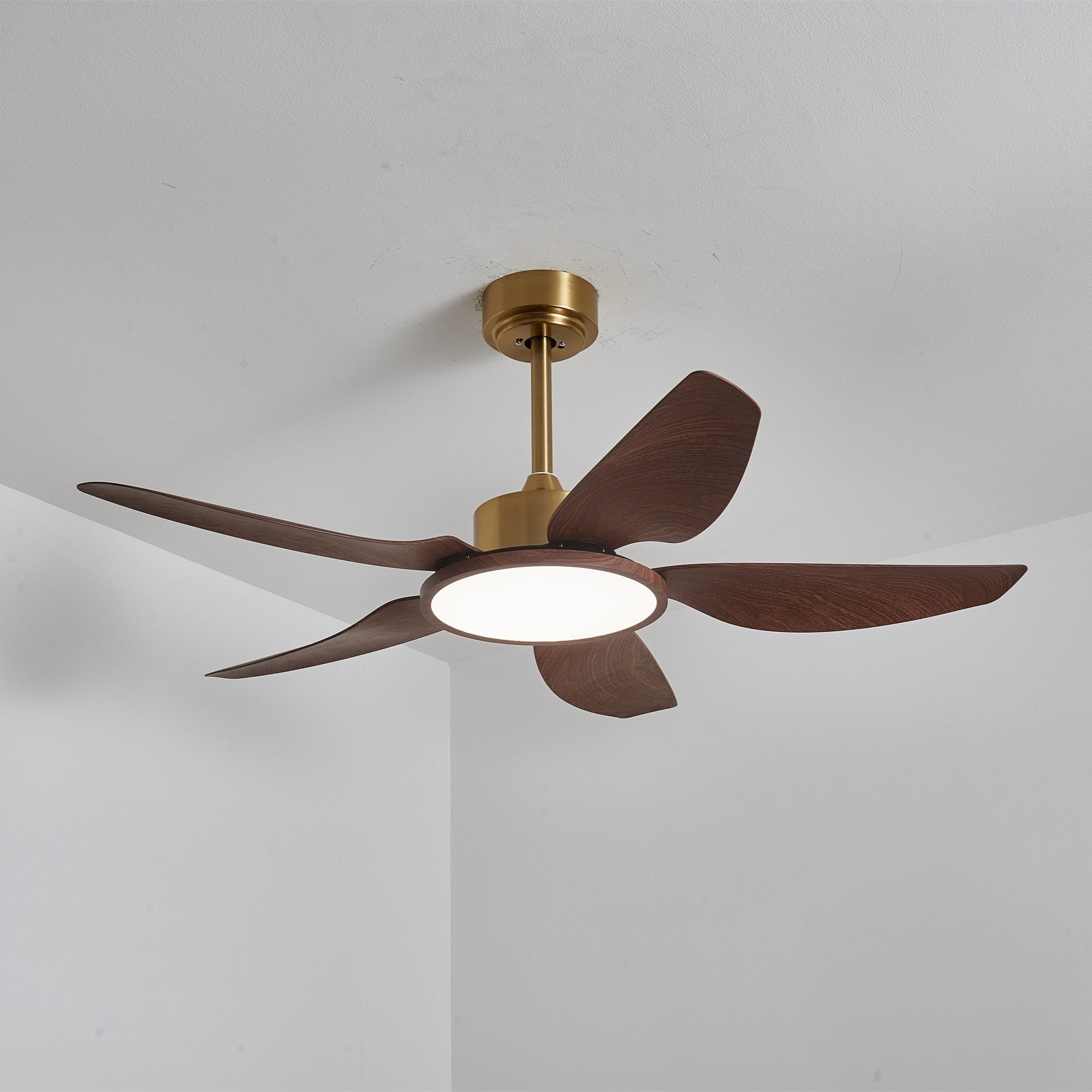 Amoro Ceiling Fan Light