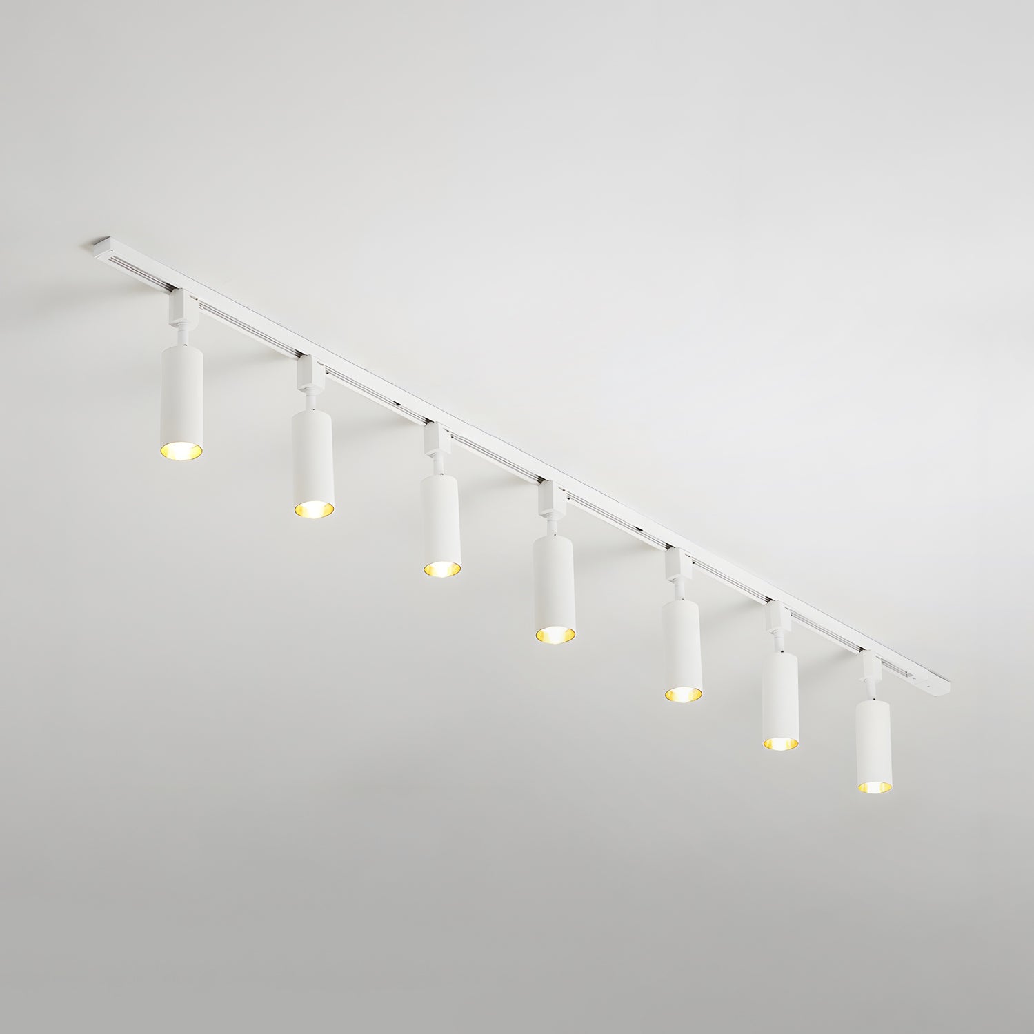 Eronir Cylinder Track Light
