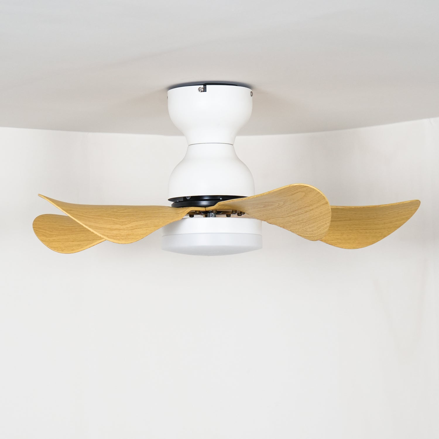 Zoreefa Ceiling Fan Light