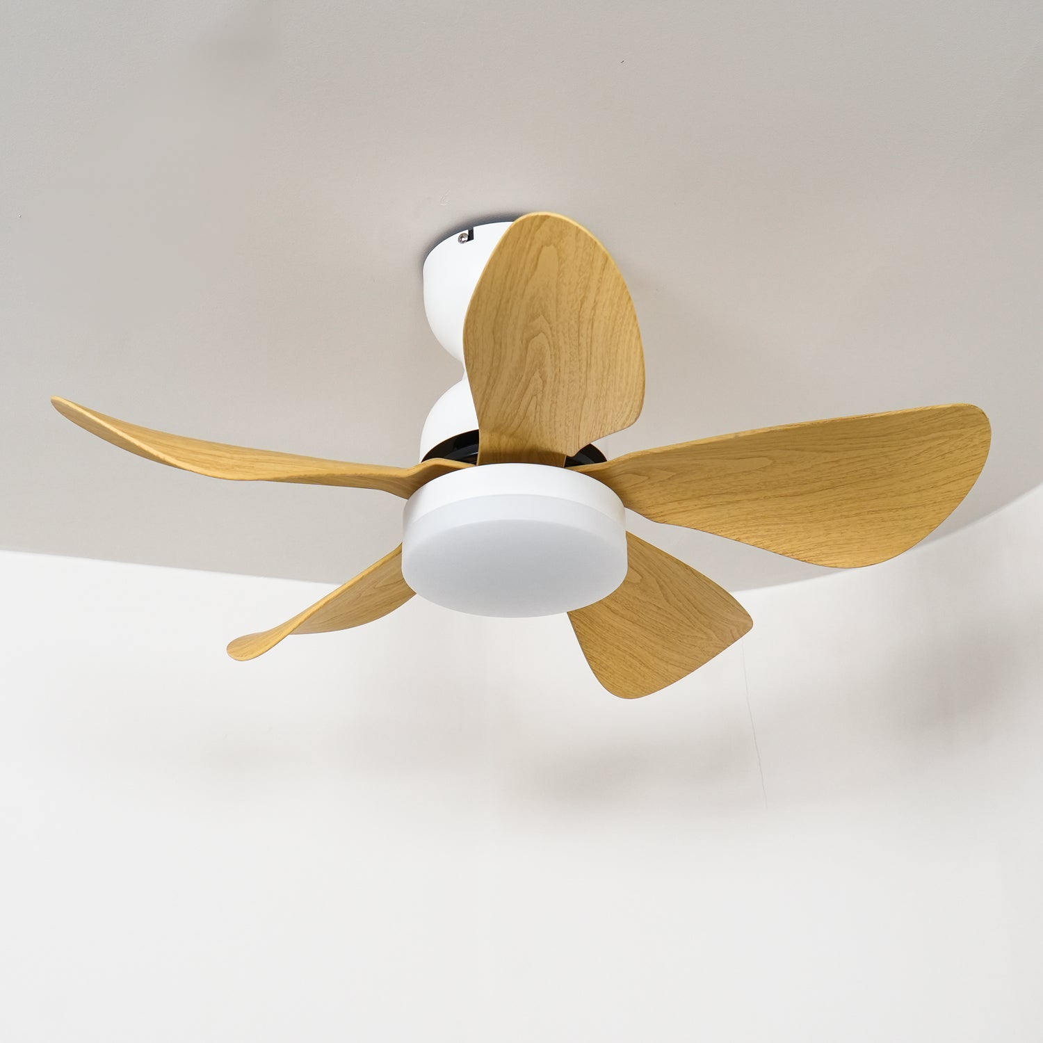Zoreefa Ceiling Fan Light