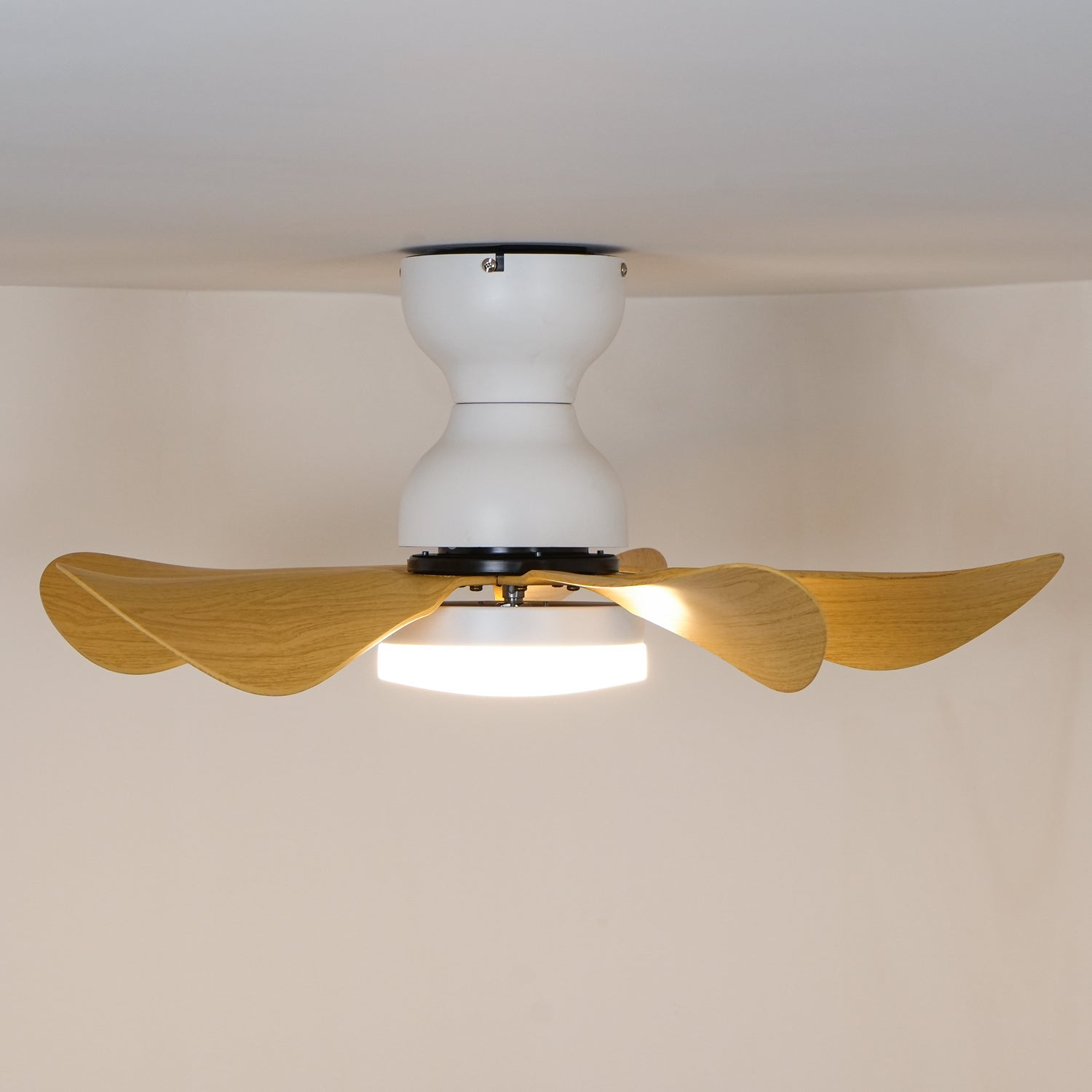 Zoreefa Ceiling Fan Light