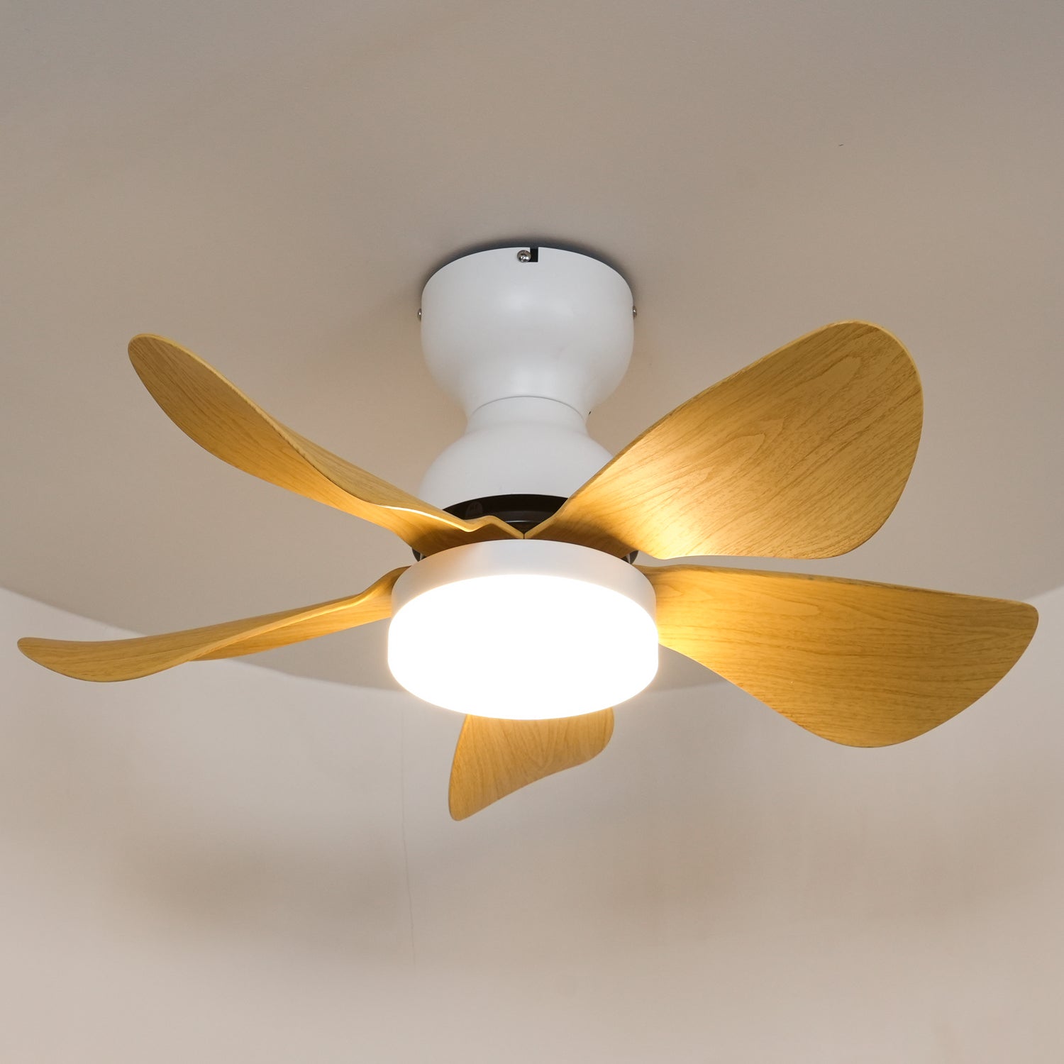 Zoreefa Ceiling Fan Light