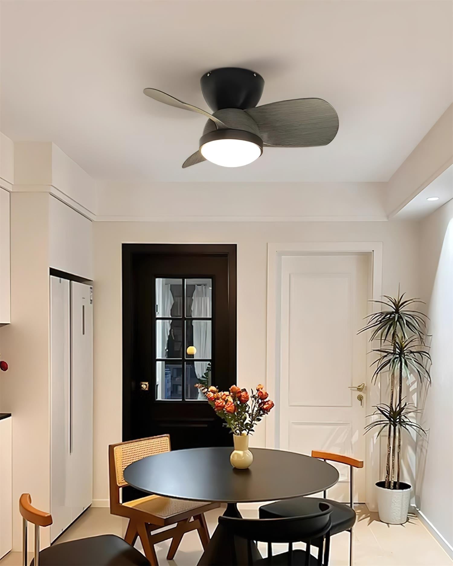 Orevia Ceiling Fan Light