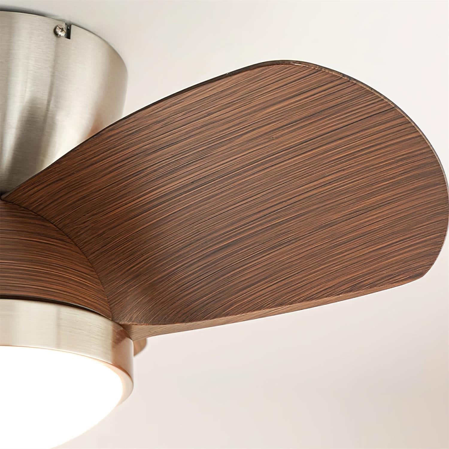 Orevia Ceiling Fan Light