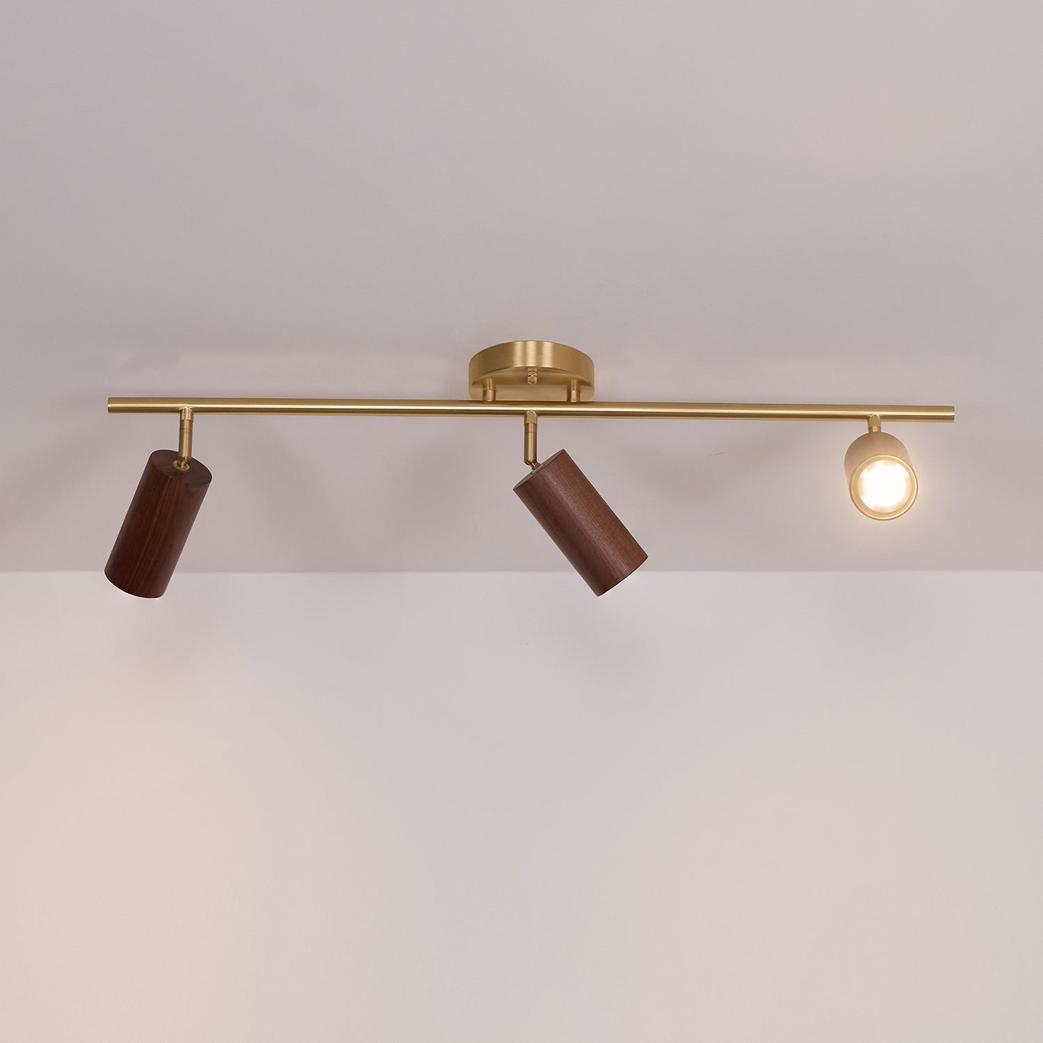 Ganavo Track Ceiling Light
