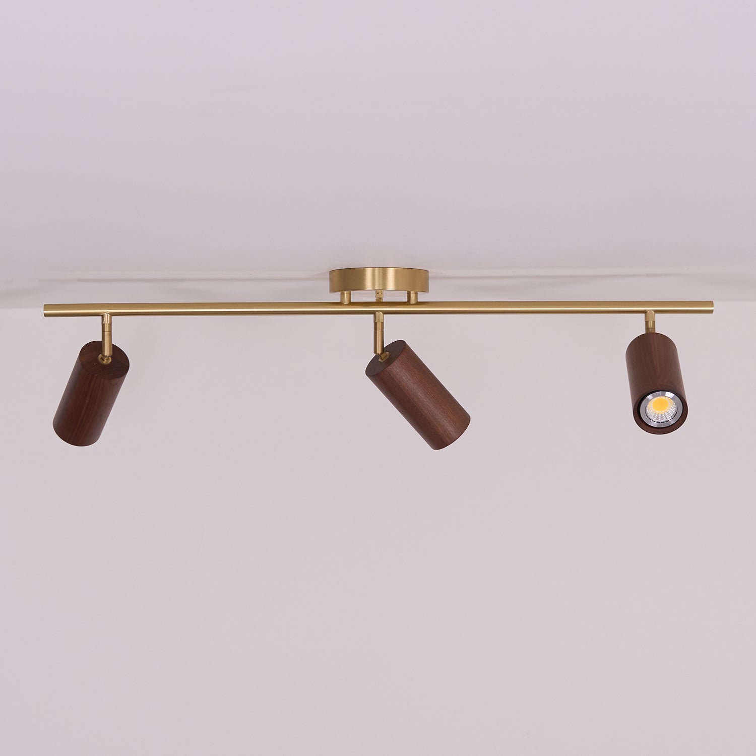 Ganavo Track Ceiling Light