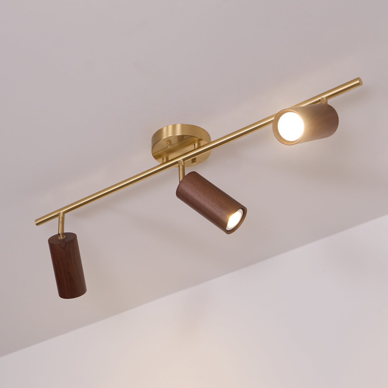 Ganavo Track Ceiling Light