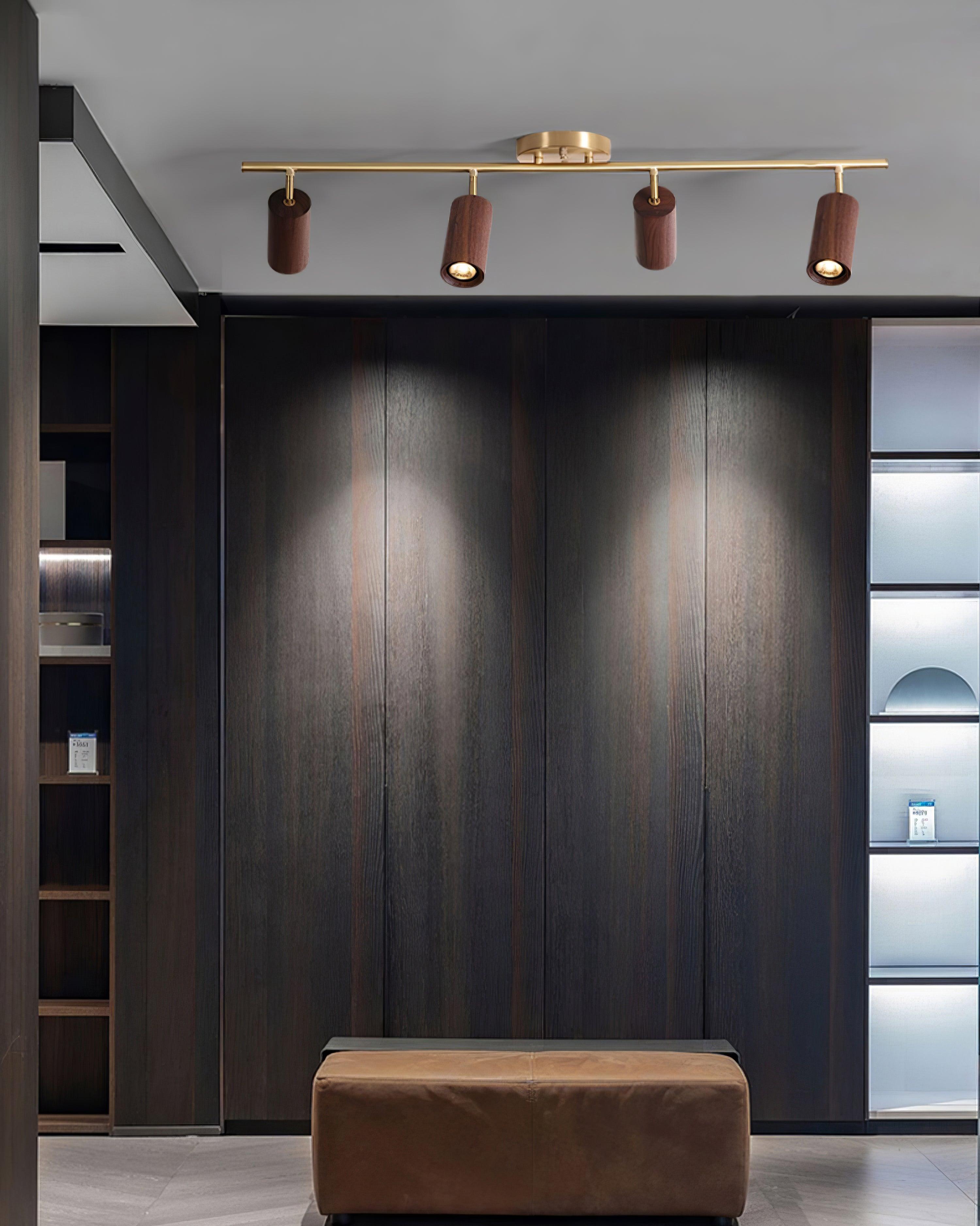 Ganavo Track Ceiling Light