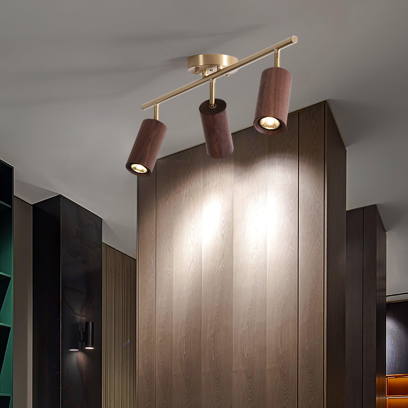 Ganavo Track Ceiling Light