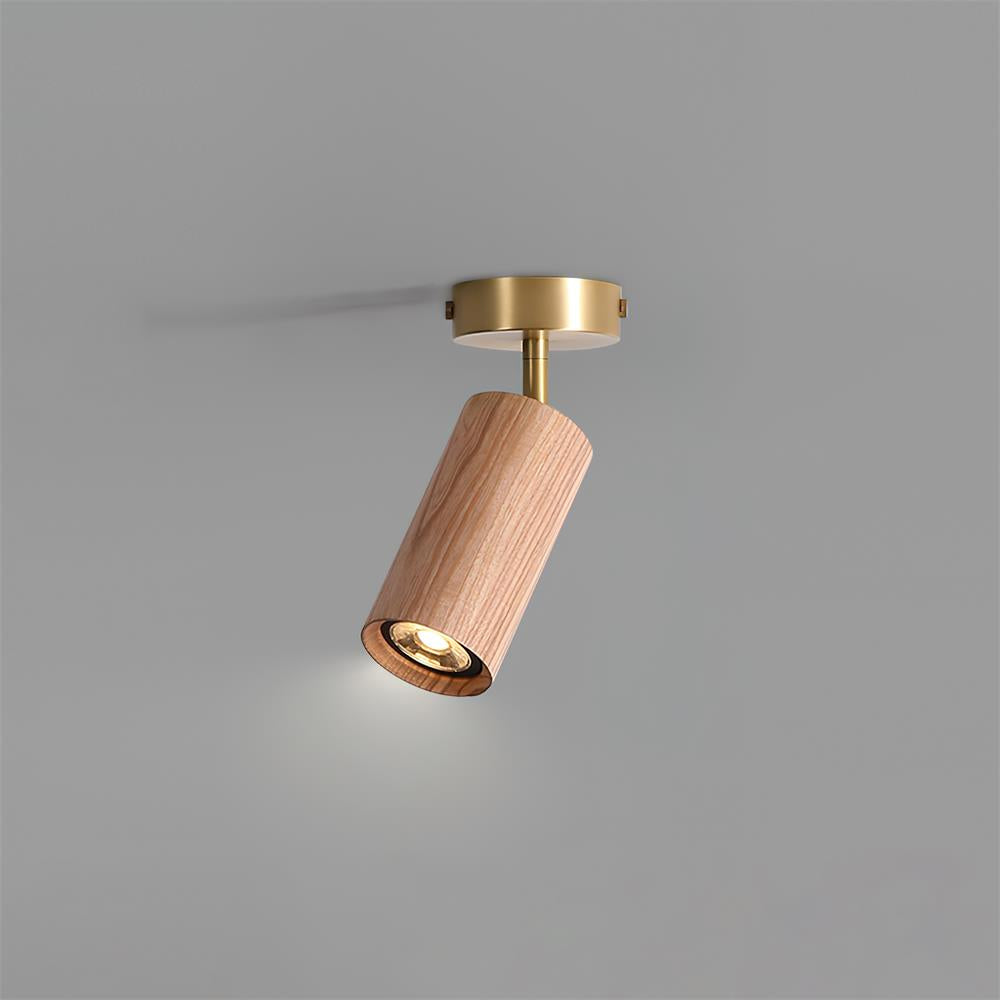 Ganavo Track Ceiling Light