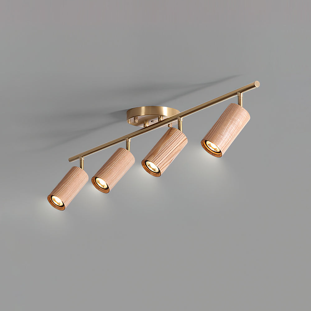 Ganavo Track Ceiling Light