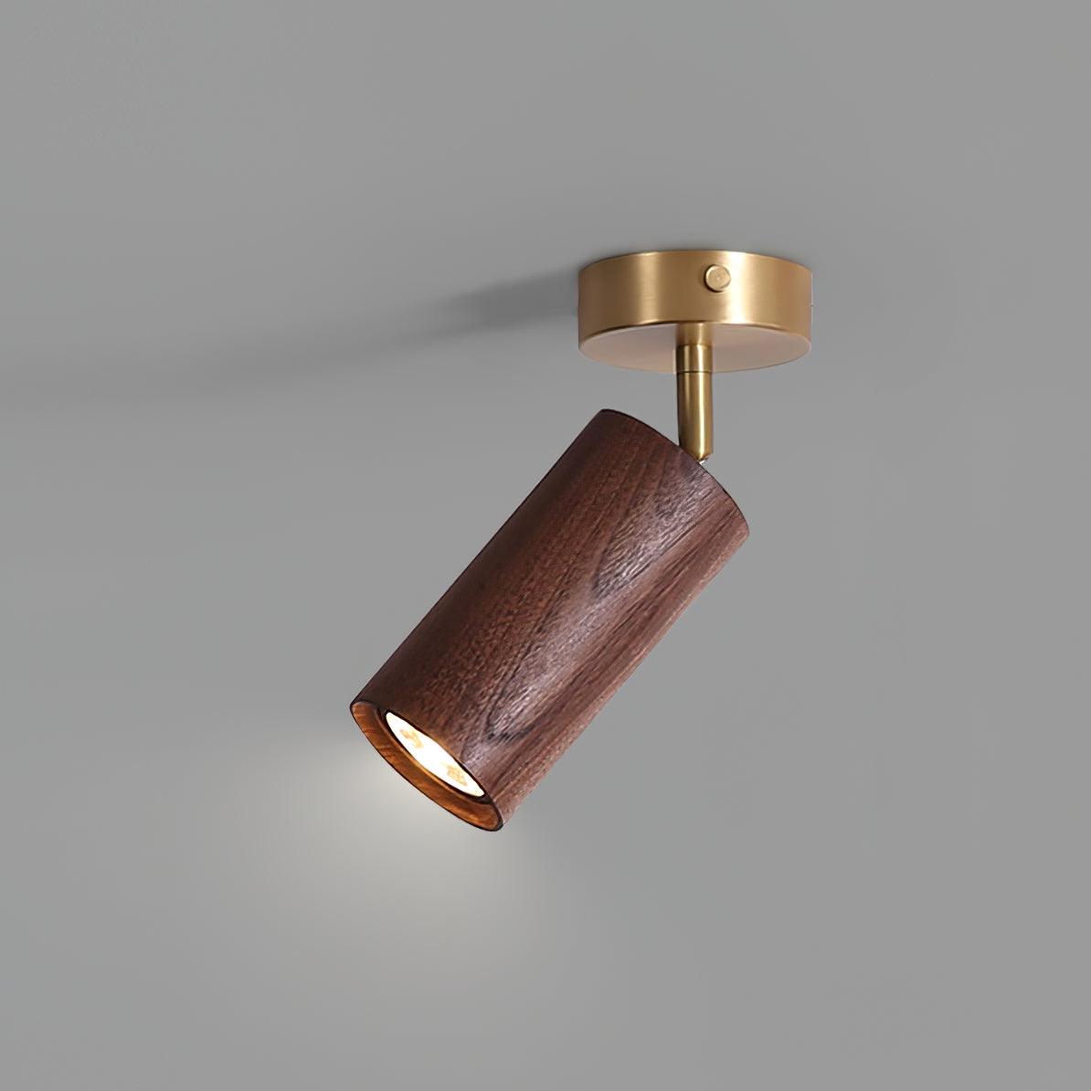 Ganavo Track Ceiling Light