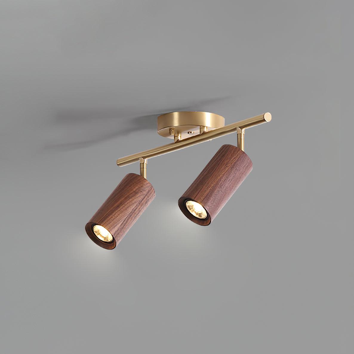 Ganavo Track Ceiling Light