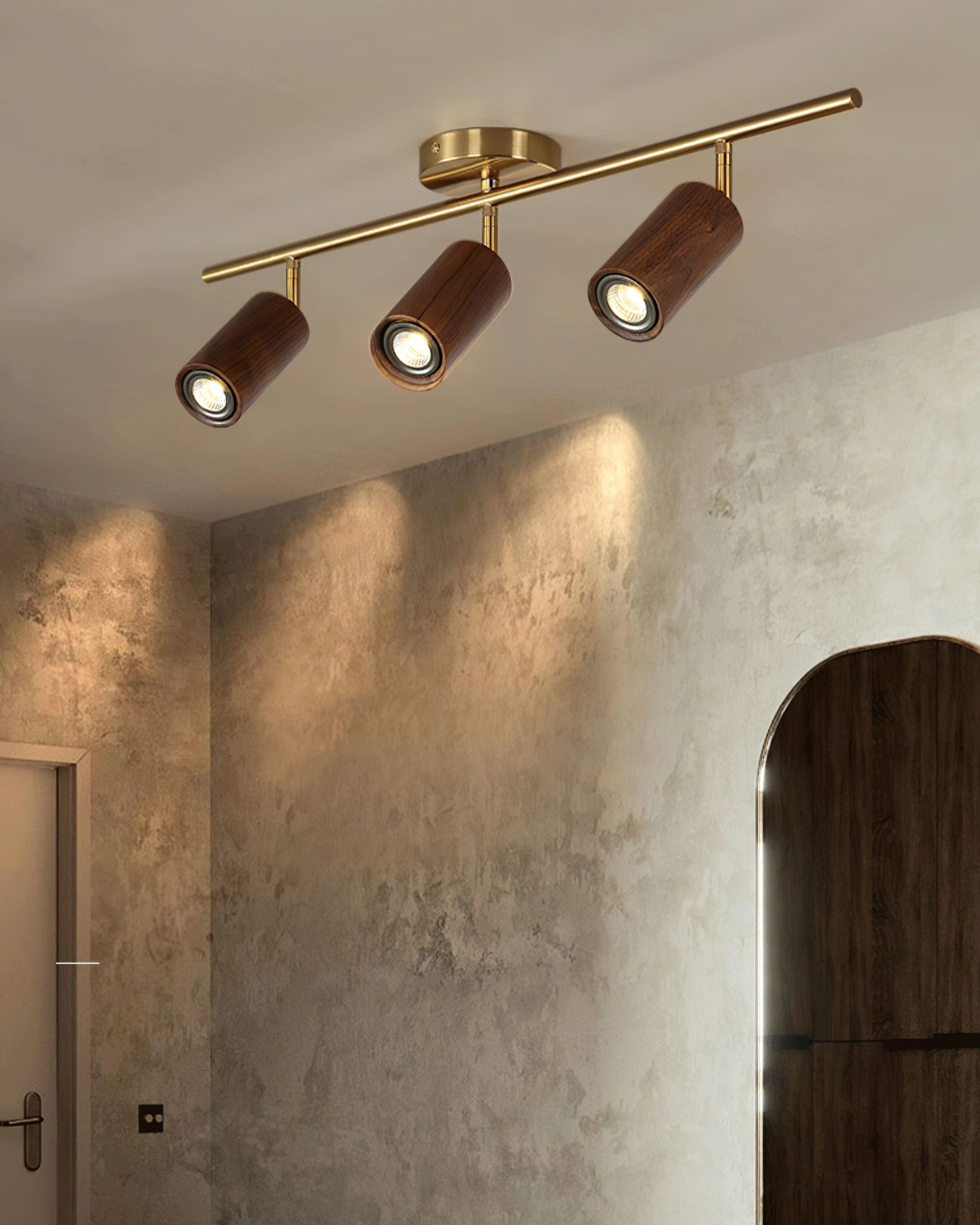 Ganavo Track Ceiling Light